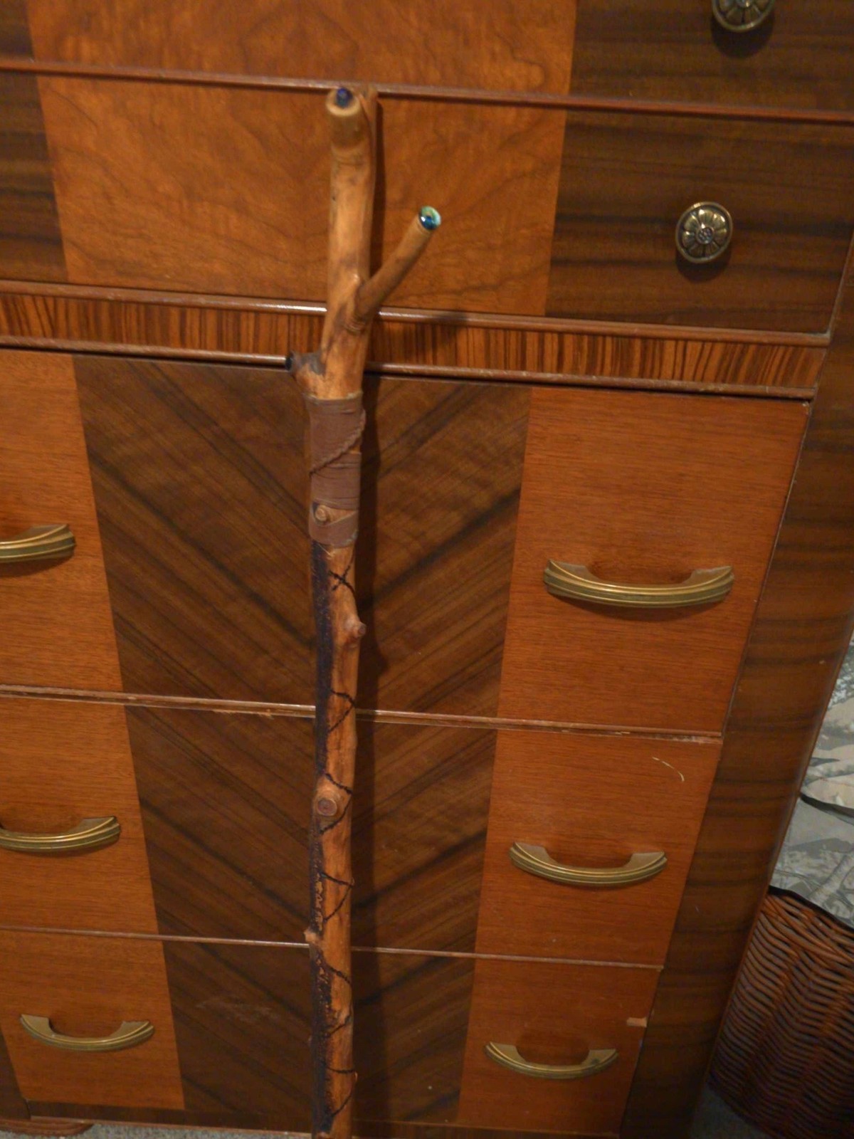 walking stick walking stick