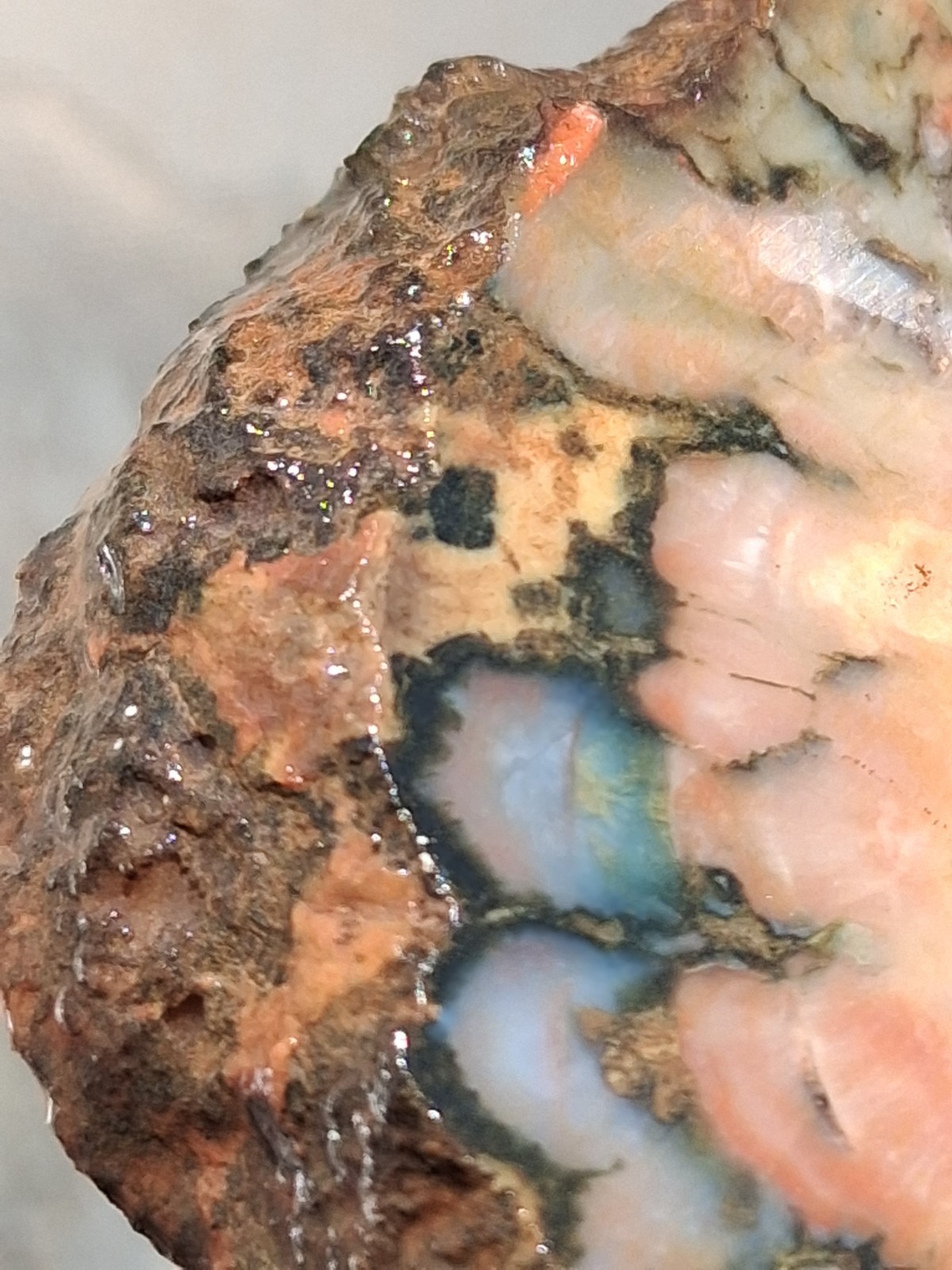Amazing Opalized Jungle Agate, Wild Colora An Amazing Collector Slab Or Lapidary Amazing Opalized Jungle Agate, Wild Colora An Amazing Collector Slab Or Lapidary