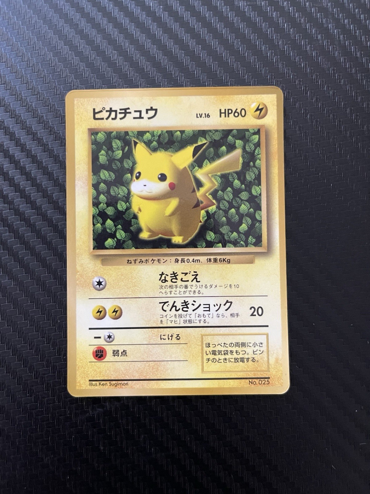 Ivy Pikachu No.025 Glossy MP Coro Coro Promo Japanese Pokemon TCG Ivy Pikachu No.025 Glossy MP Coro Coro Promo Japanese Pokemon TCG