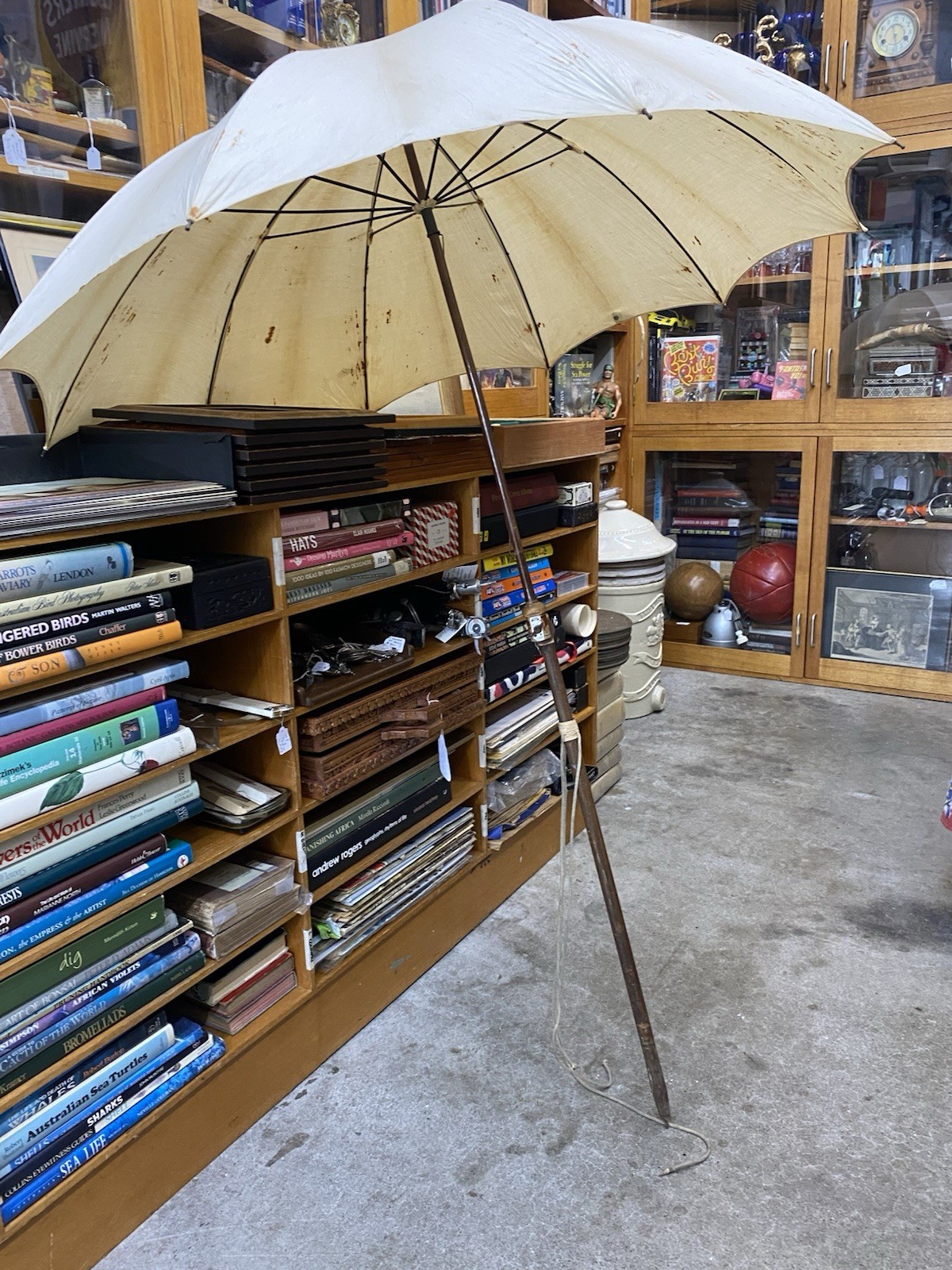 Antique c1895–1905 Folding Carriage Parasol umbrella British Edwardian Vintage
