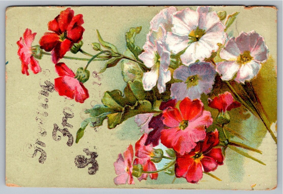1908 Embossed Floral Primrose Flowers Greetings From Missouri Vintage Postcard 1908 Embossed Floral Primrose Flowers Greetings From Missouri Vintage Postcard