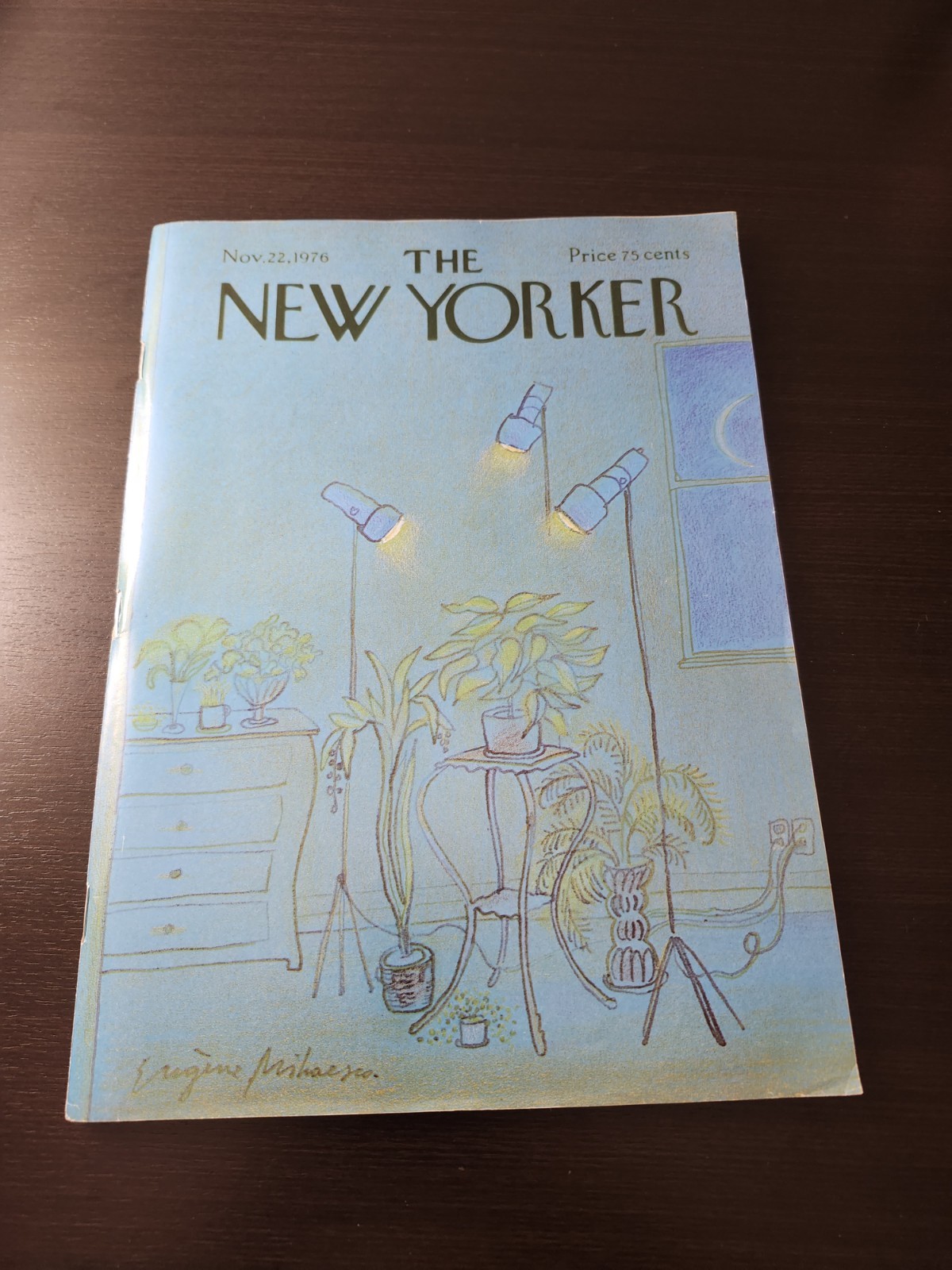 The New Yorker Magazine November 22 1976 Eugene Mihaesco James Munves EJ Kahn