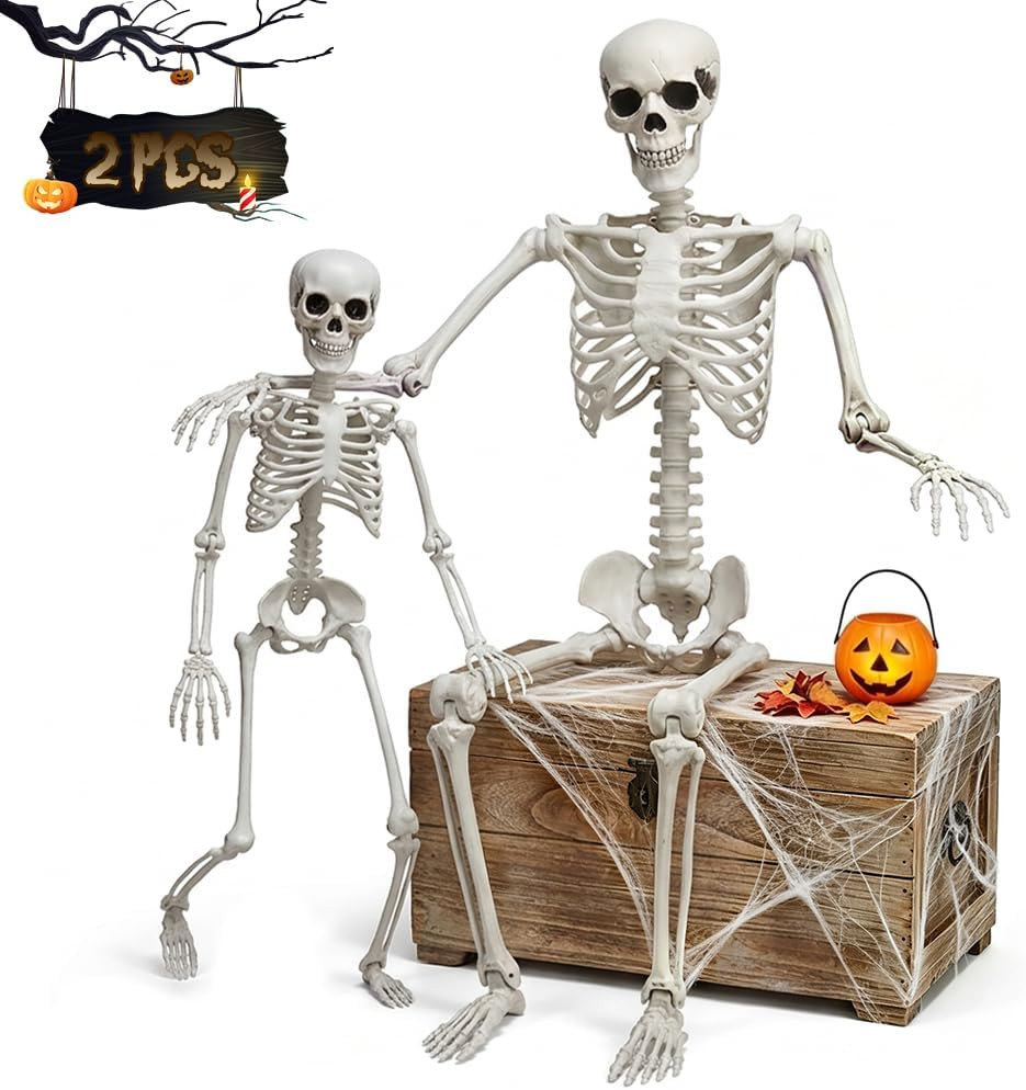 5.4Ft & 3Ft Halloween Life Size Skeleton with Movable Joints for Halloween