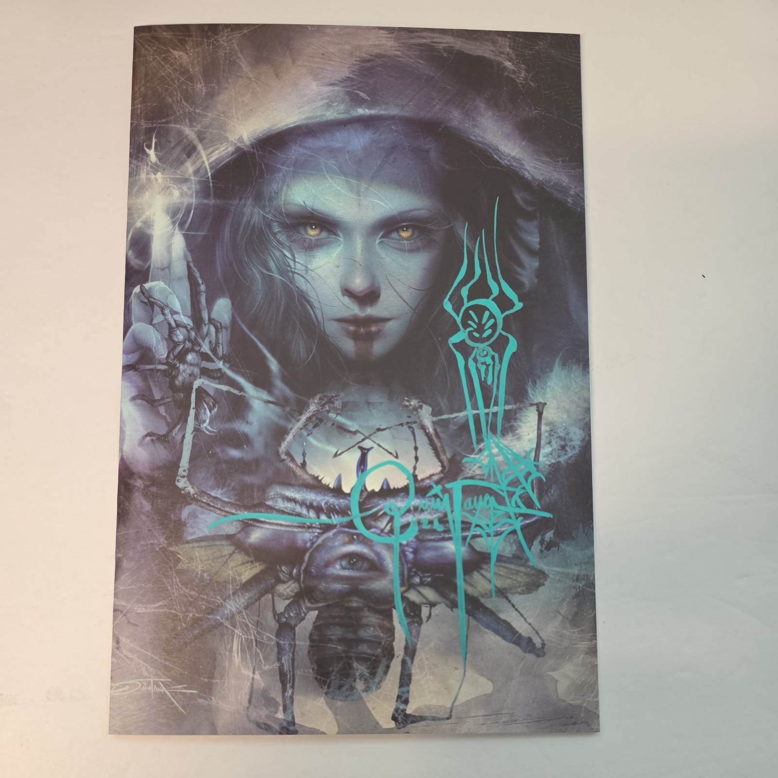We Don’t Kill Spiders #1 SIGNED & Remarqued Virgin Variant Dan Quintana. We Don’t Kill Spiders #1 SIGNED & Remarqued Virgin Variant Dan Quintana.