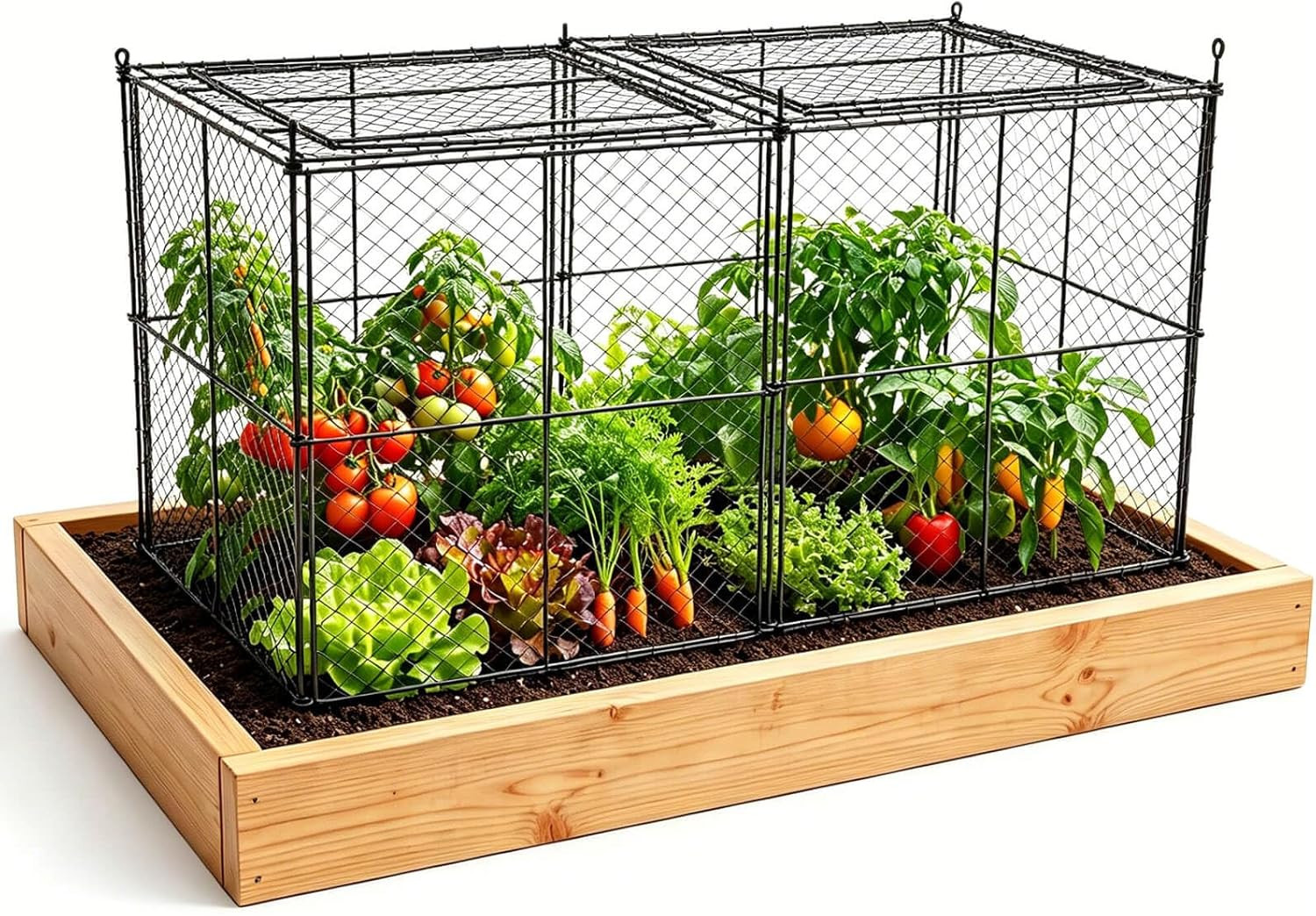 Heavy-Duty Crop Cage 45 Heavy-Duty Crop Cage 45