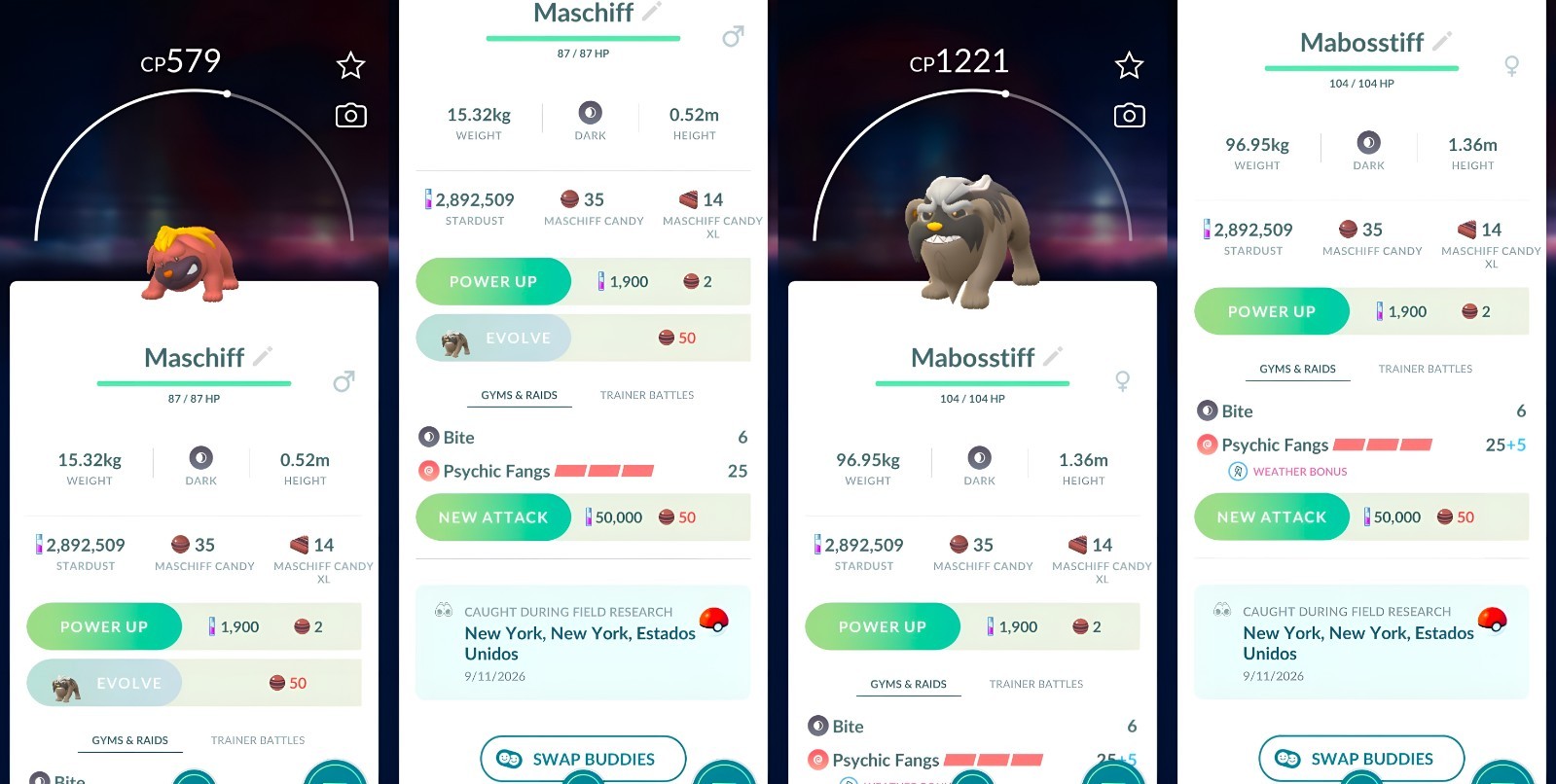 Pokemón Maschiff, Mabosstiff | new with several options | Tr-de Go✨ Pokemón Maschiff, Mabosstiff | new with several options | Tr-de Go✨