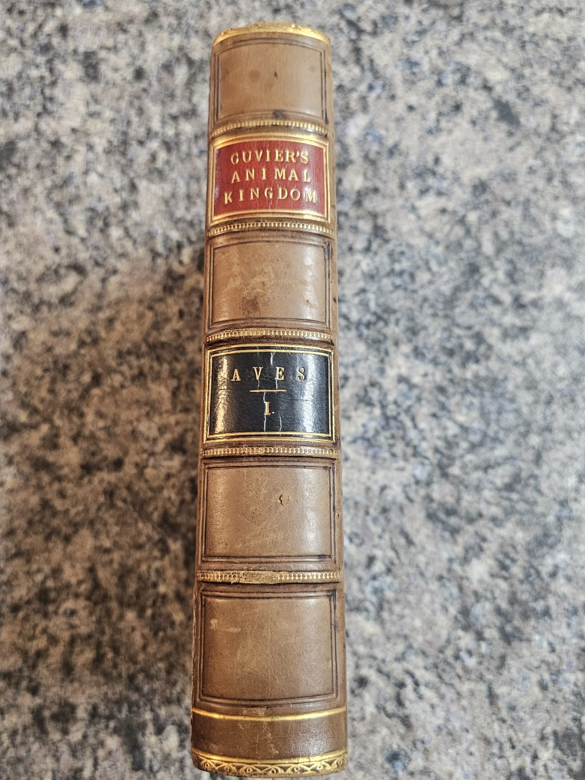 1829 Baron Cuvier Animal Kingdom Aves 1 Vol. 1 Complete Book First Edition 1829 Baron Cuvier Animal Kingdom Aves 1 Vol. 1 Complete Book First Edition