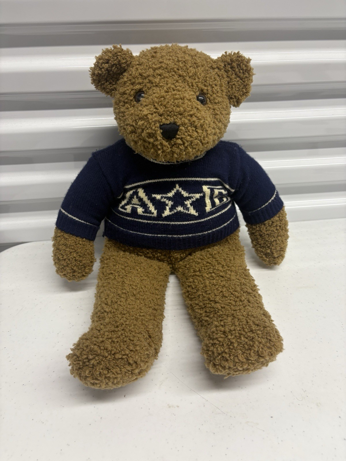 Vintage American Eagle Outfitters AEO Limited Edition Teddy Bear Plush 16”