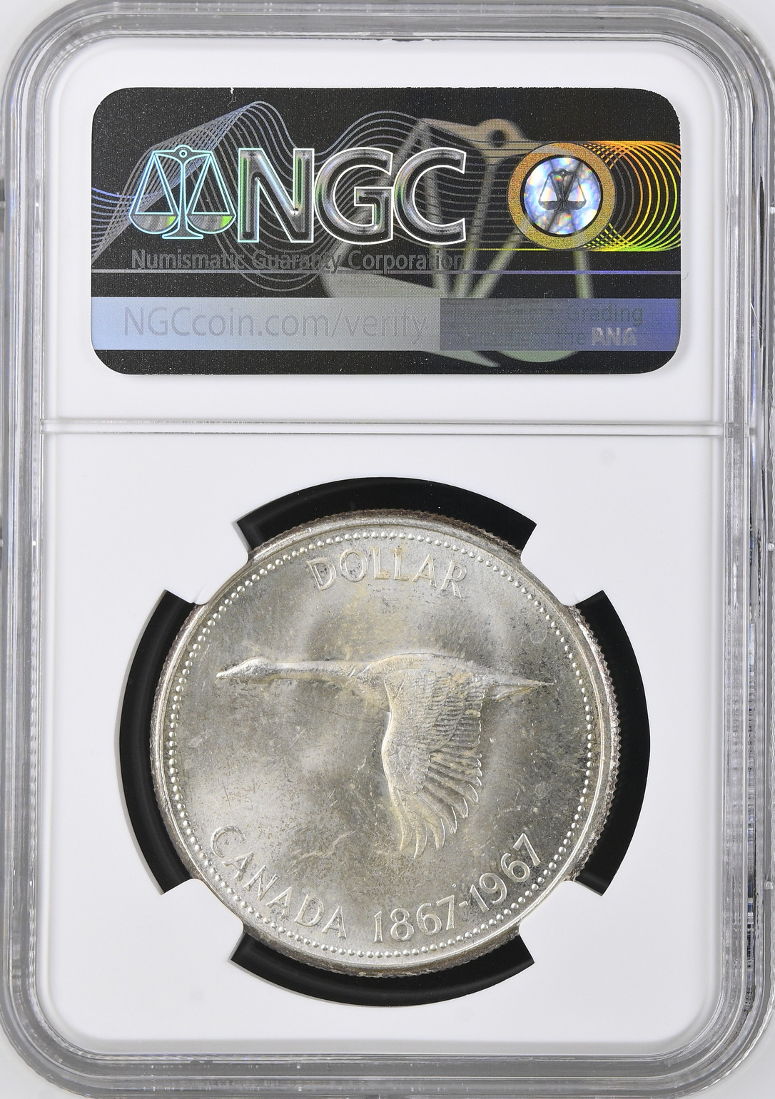 :1967 S1$ GOOSE DOLLAR ELIZABETH II CANADA NGC MS64 RARITY R5 HIGHEST GRADES :1967 S1$ GOOSE DOLLAR ELIZABETH II CANADA NGC MS64 RARITY R5 HIGHEST GRADES