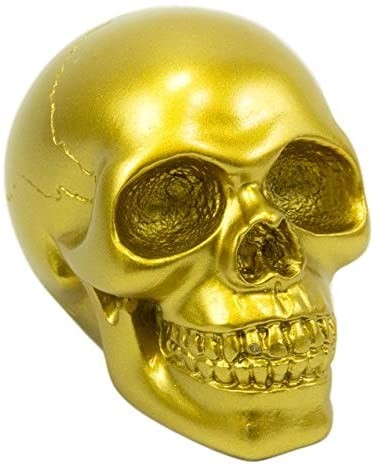Ebros Pirate\'s Loot Graveyard Human Skull Head Statue 3.75\