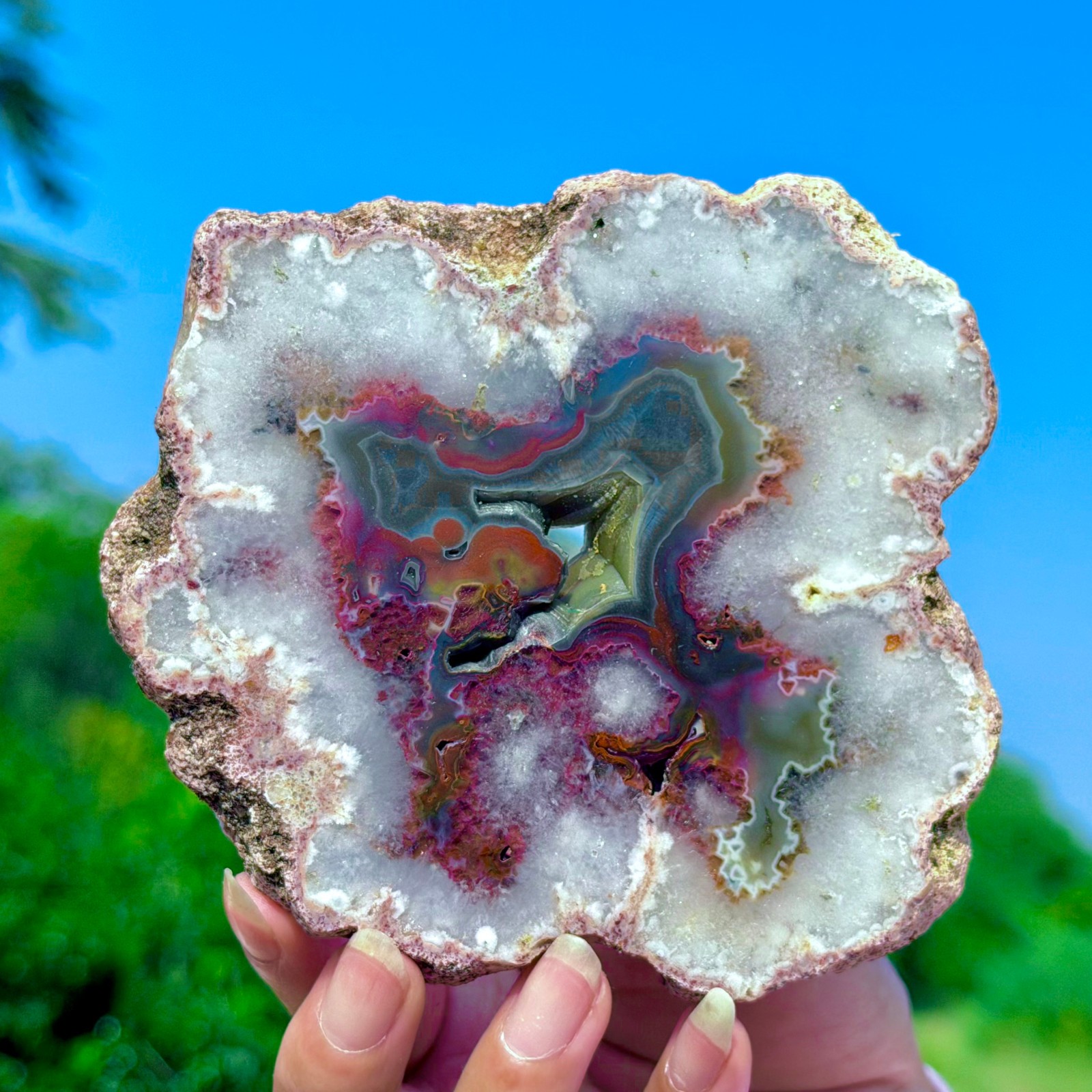 295G Natural Colorful Lace Agate Geode Slice Extra Large Gem From Argentina