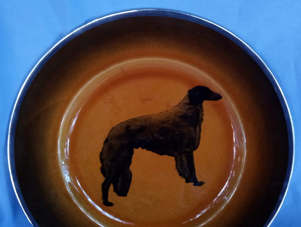 BORZOI DOG PLATE ROYAL CAULDON ENGLAND RIDGEWOOD 12 BORZOI DOG PLATE ROYAL CAULDON ENGLAND RIDGEWOOD 12