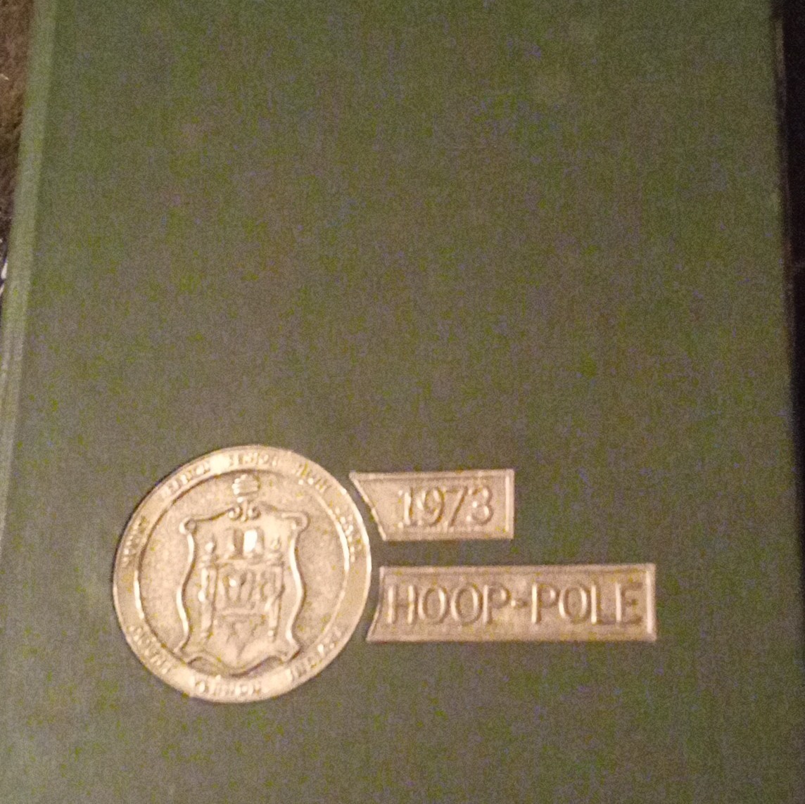 1973 Yearbook Mt. Mount Vernon High School IN With Great Photos & No Writing 1973 Yearbook Mt. Mount Vernon High School IN With Great Photos & No Writing