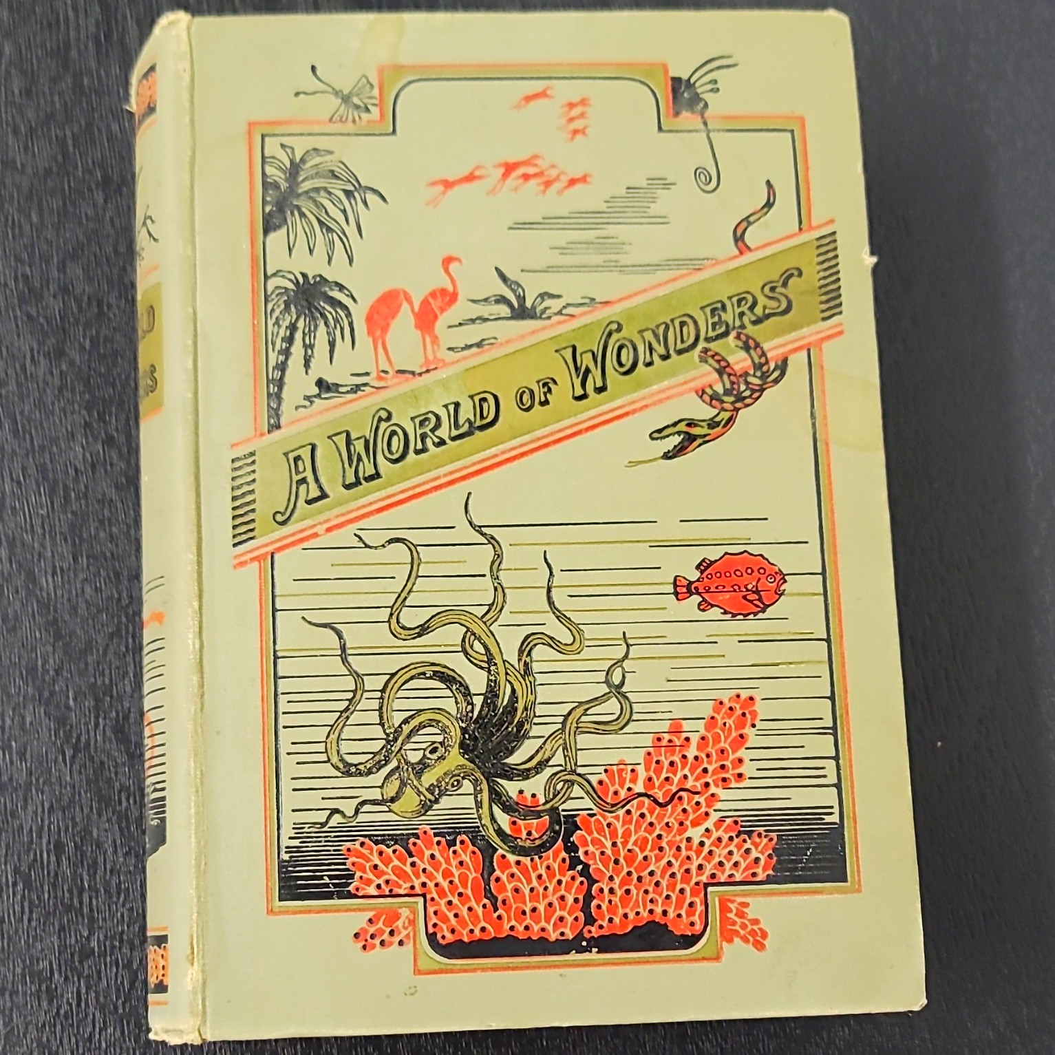 A World of Wonders by Julia McNair Wright (1901, Hardcover) 1st Illus A World of Wonders by Julia McNair Wright (1901, Hardcover) 1st Illus