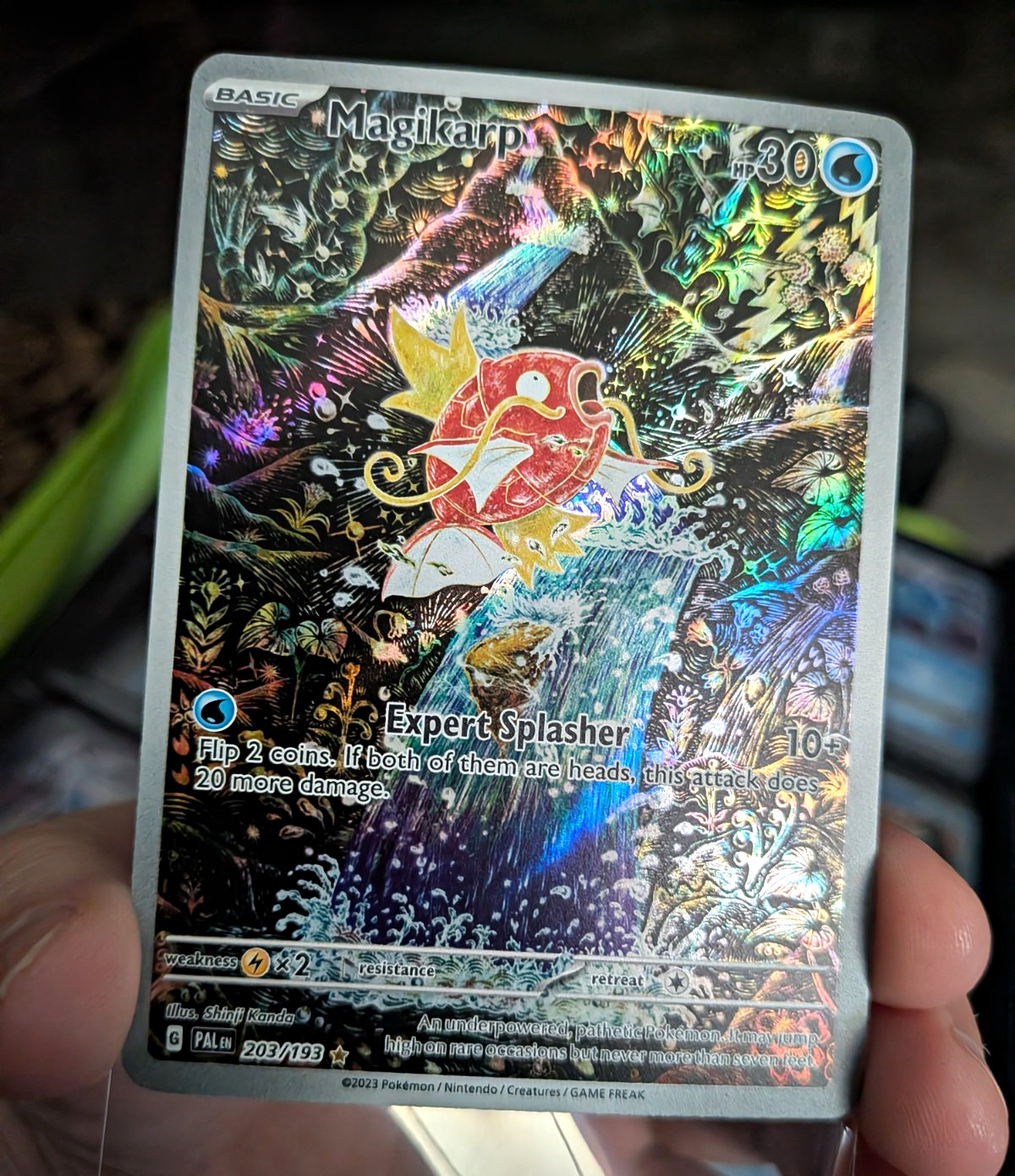 Magikarp 203/193 Paldea Evolved Illustration Rare Full Art Holo Magikarp 203/193 Paldea Evolved Illustration Rare Full Art Holo