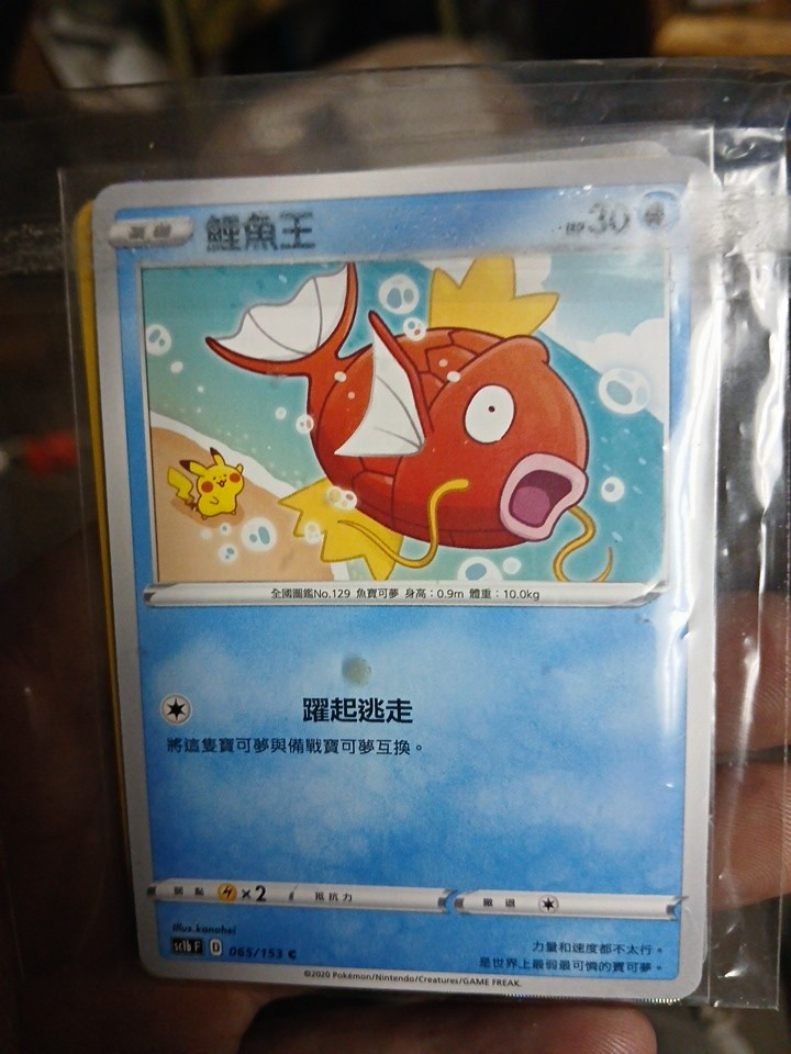 Nintendo Pokemon TCG Magikarp 2-Card Lot Chinese Reverse Holo 065/153 129/151 Nintendo Pokemon TCG Magikarp 2-Card Lot Chinese Reverse Holo 065/153 129/151