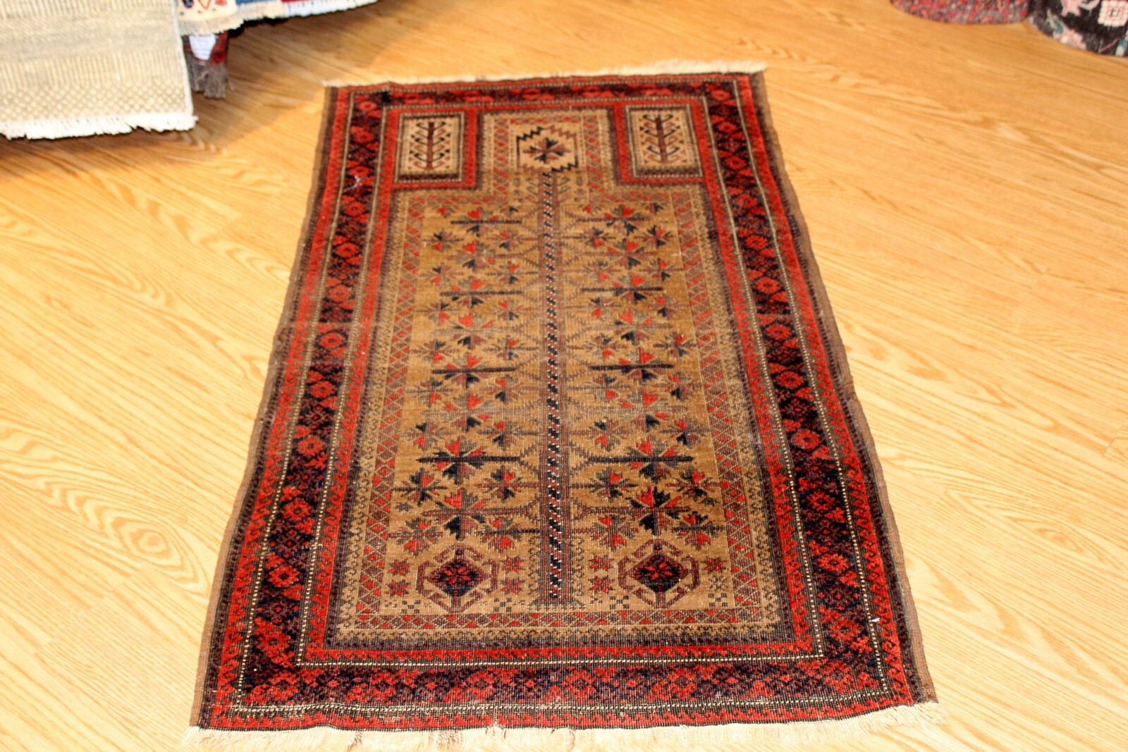 antique beluch rug. 3\' x 5\' Tribal 19th Century Afghan Prayer Rug 2\'9\