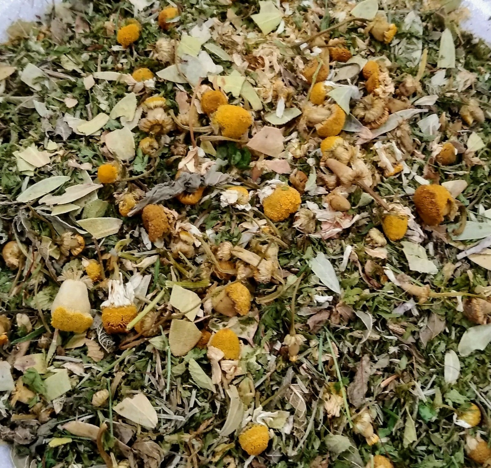 Urinary Tract (UTI) Organic Loose Leaf Herbal Tea Blend 1oz organic