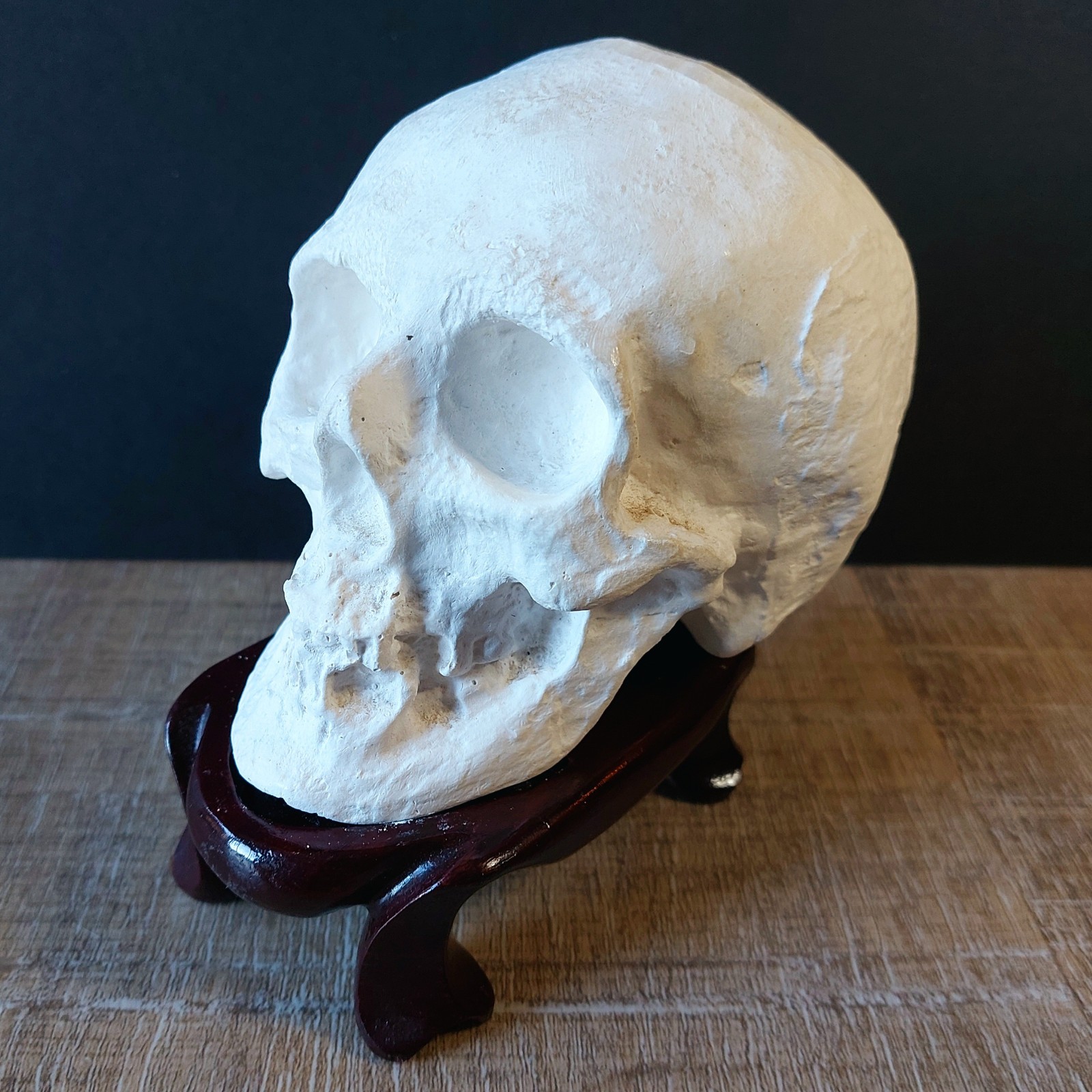 Sml Vintage Skull w Base Catacomb style- Hong Kong solid plaster resin spooky