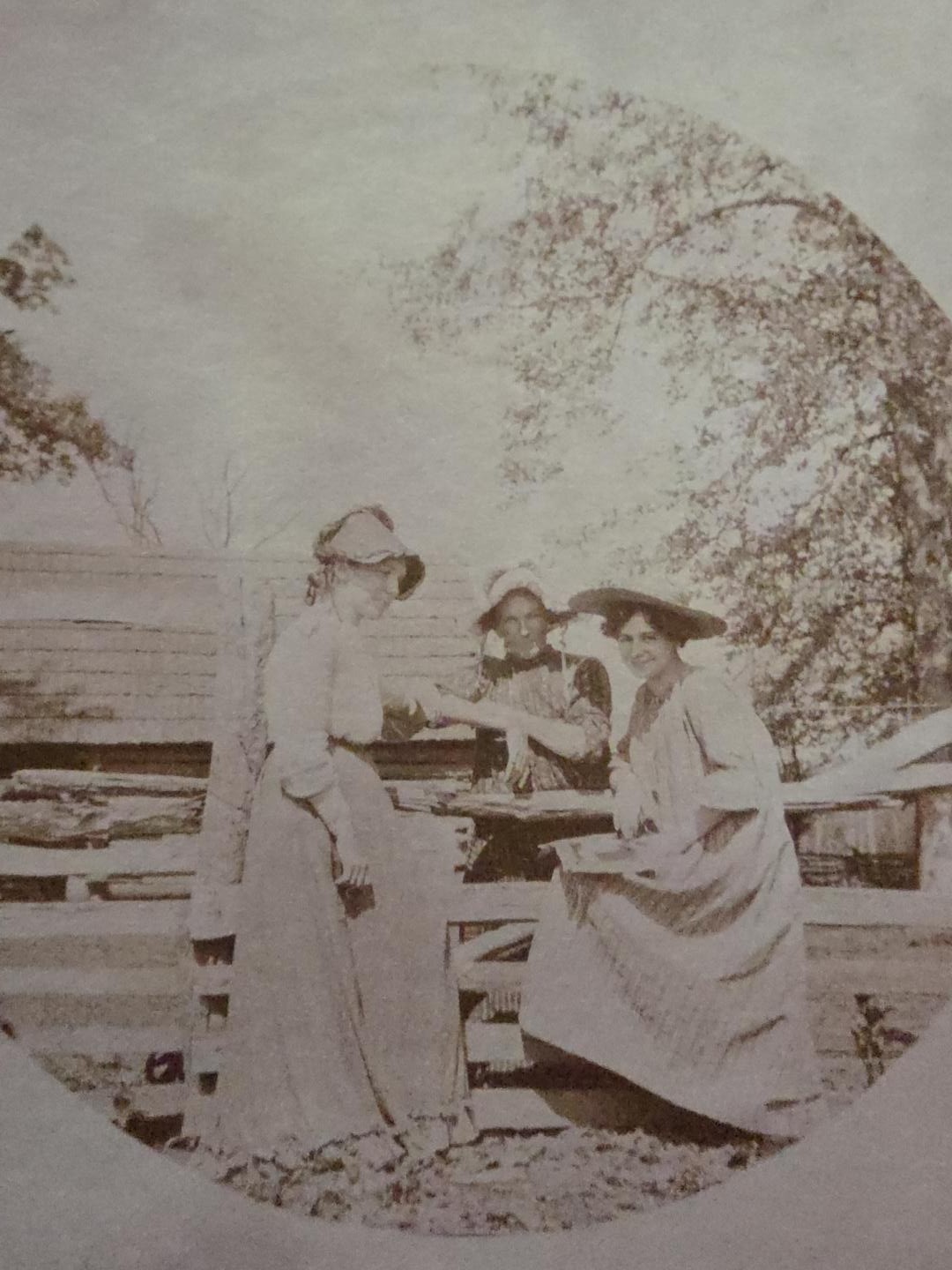 Antique c1890 Kodak Era Circular Photo 3 Victorian Women Early Roll Film 5x4