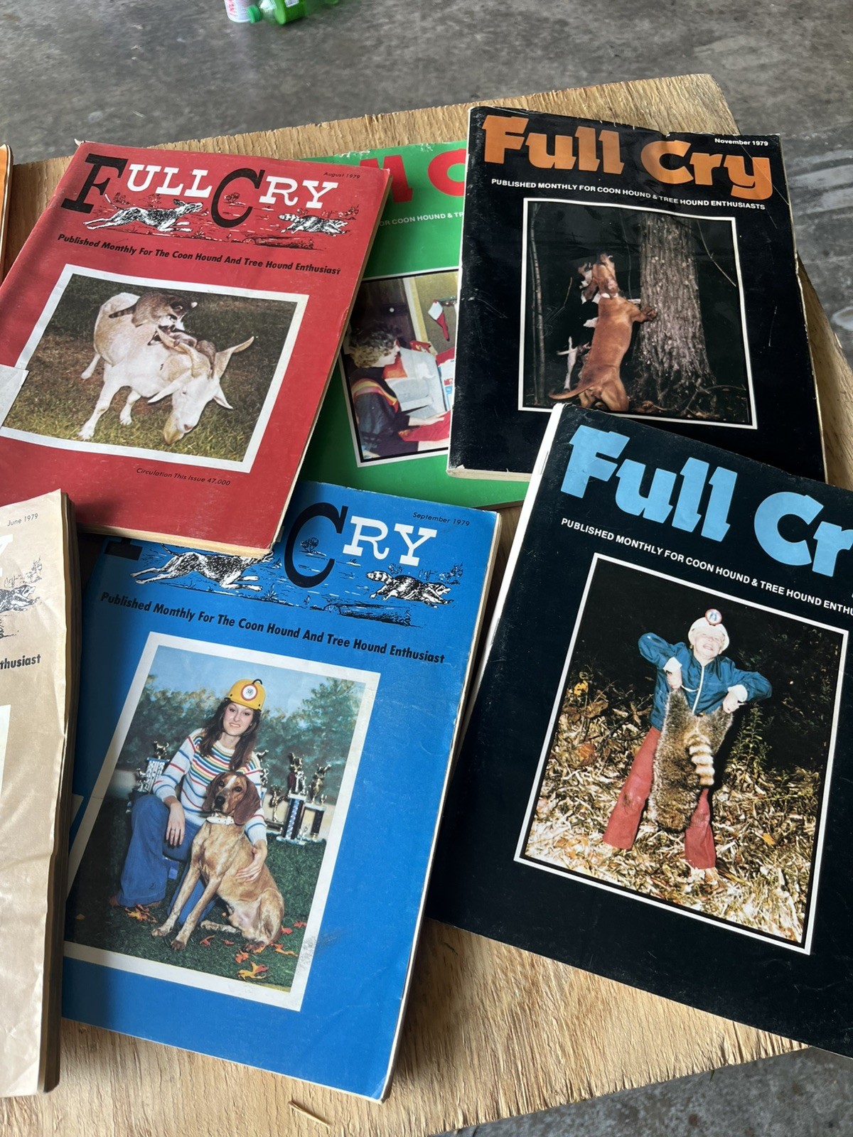 1979 Full Cry Coon And Tree Hound Vintage Magazines 11 Issues 1979 Full Cry Coon And Tree Hound Vintage Magazines 11 Issues