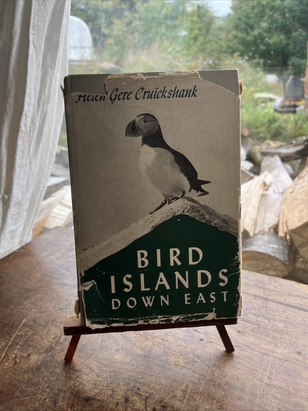 1st vtg MAINE ornithology - BIRD ISLAND DOWN EAST Hog Seal Monhegan Bar Harbor 1st vtg MAINE ornithology - BIRD ISLAND DOWN EAST Hog Seal Monhegan Bar Harbor