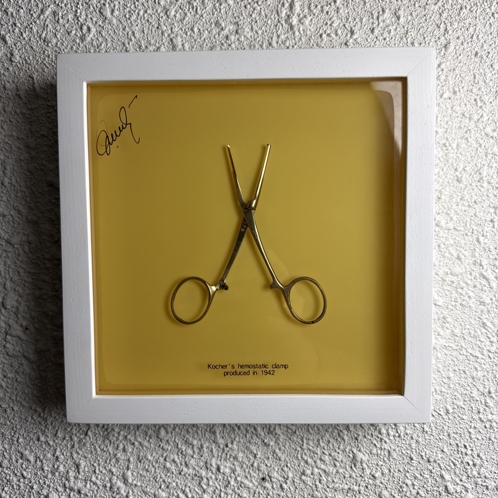 Original Art Hand Made. Signed. Antique Surgical Clamp Preserved In Resin.