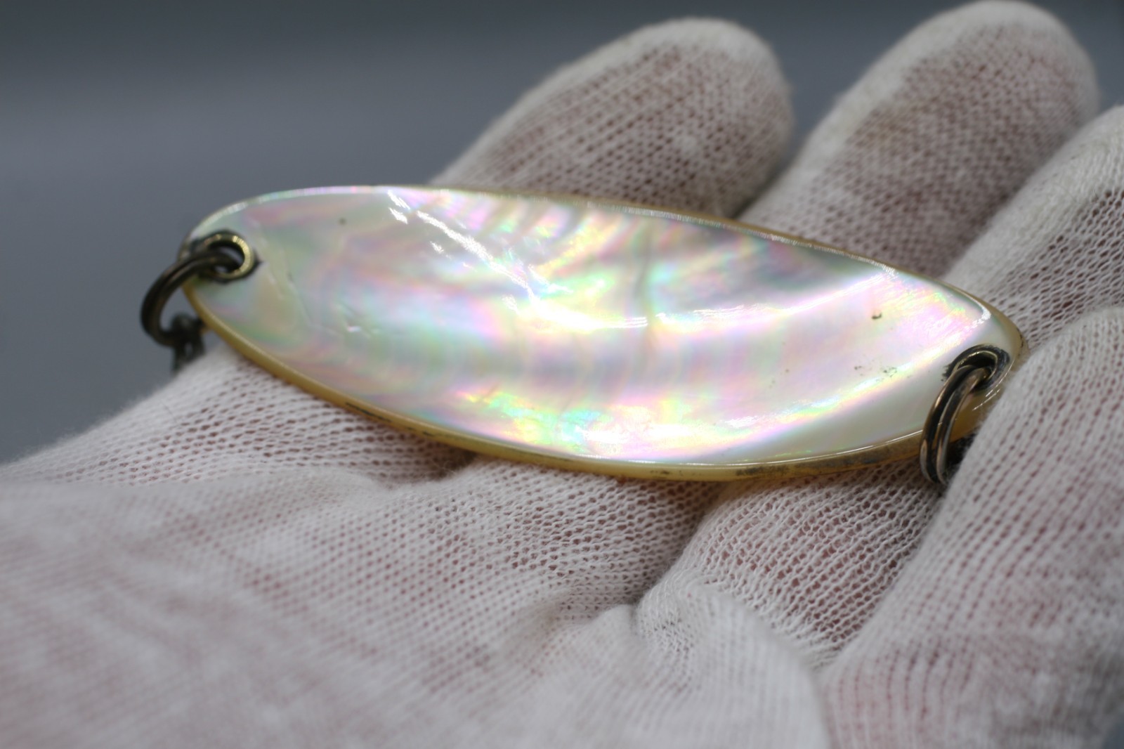 Fantastic Abalone \ Fantastic Abalone \