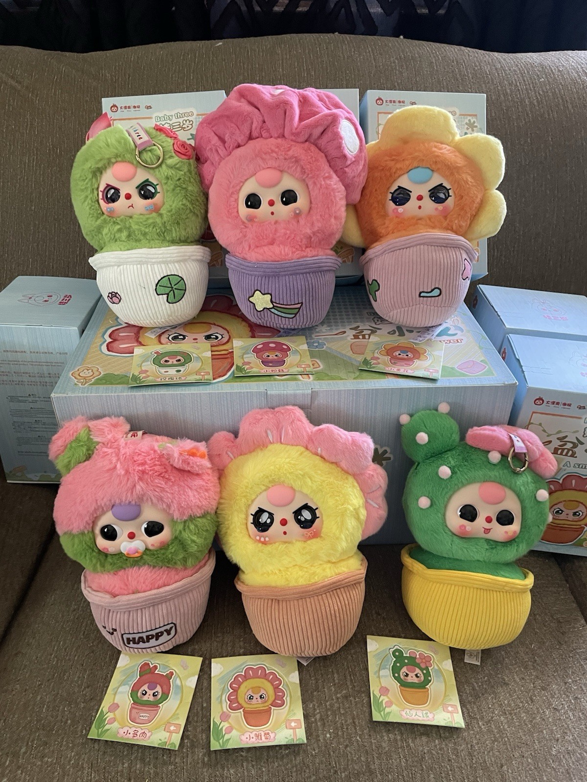Baby Three A Small Flower FULL CASE 6 Confirmed Boxes New In Box Baby Three A Small Flower FULL CASE 6 Confirmed Boxes New In Box