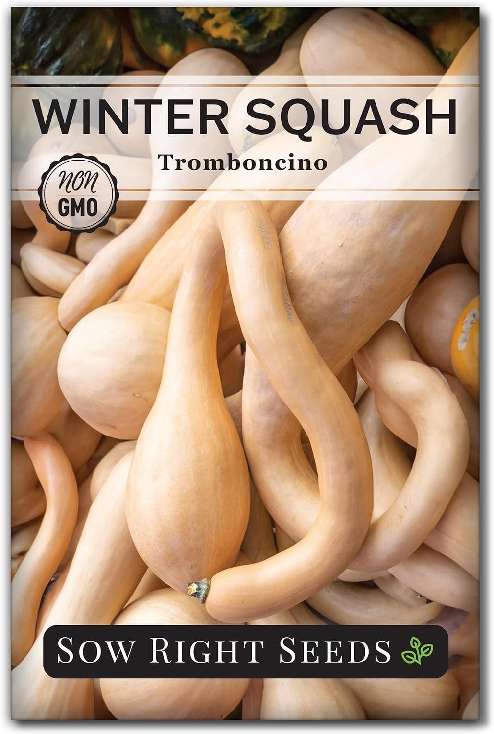 Sow Right Seeds - Tromboncino Rampicante Squash for Planting - Tan Sow Right Seeds - Tromboncino Rampicante Squash for Planting - Tan