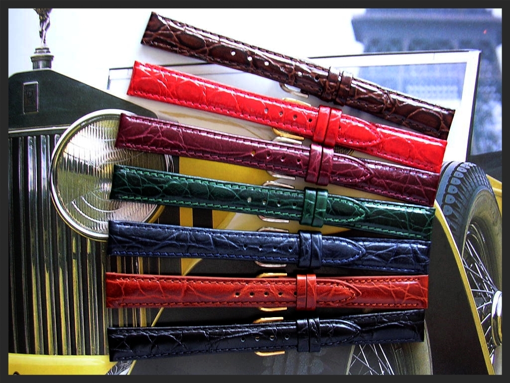 8 10 12 14 Ladies Alligator Leather Italian Fashion watch band strap IW SUISSE