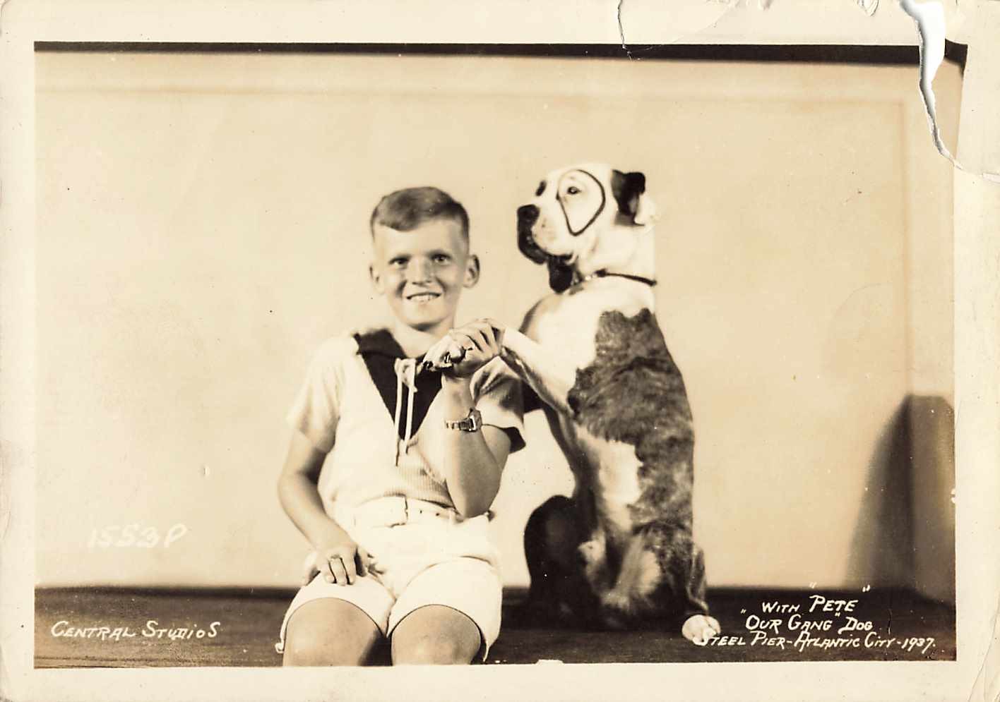 1937 Our Gang Pete the Dog Photo Steel Pier Atlantic City Central Studios 5x7