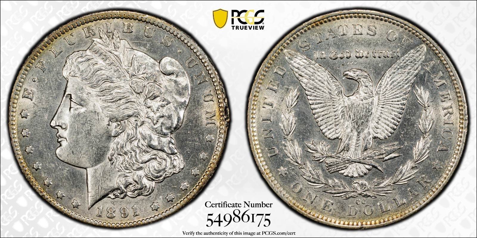 1891-CC $1 VAM 3 Spitting Eagle TOP 100 PCGS AU DETAILS (CLEANED) BETTER CC DATE