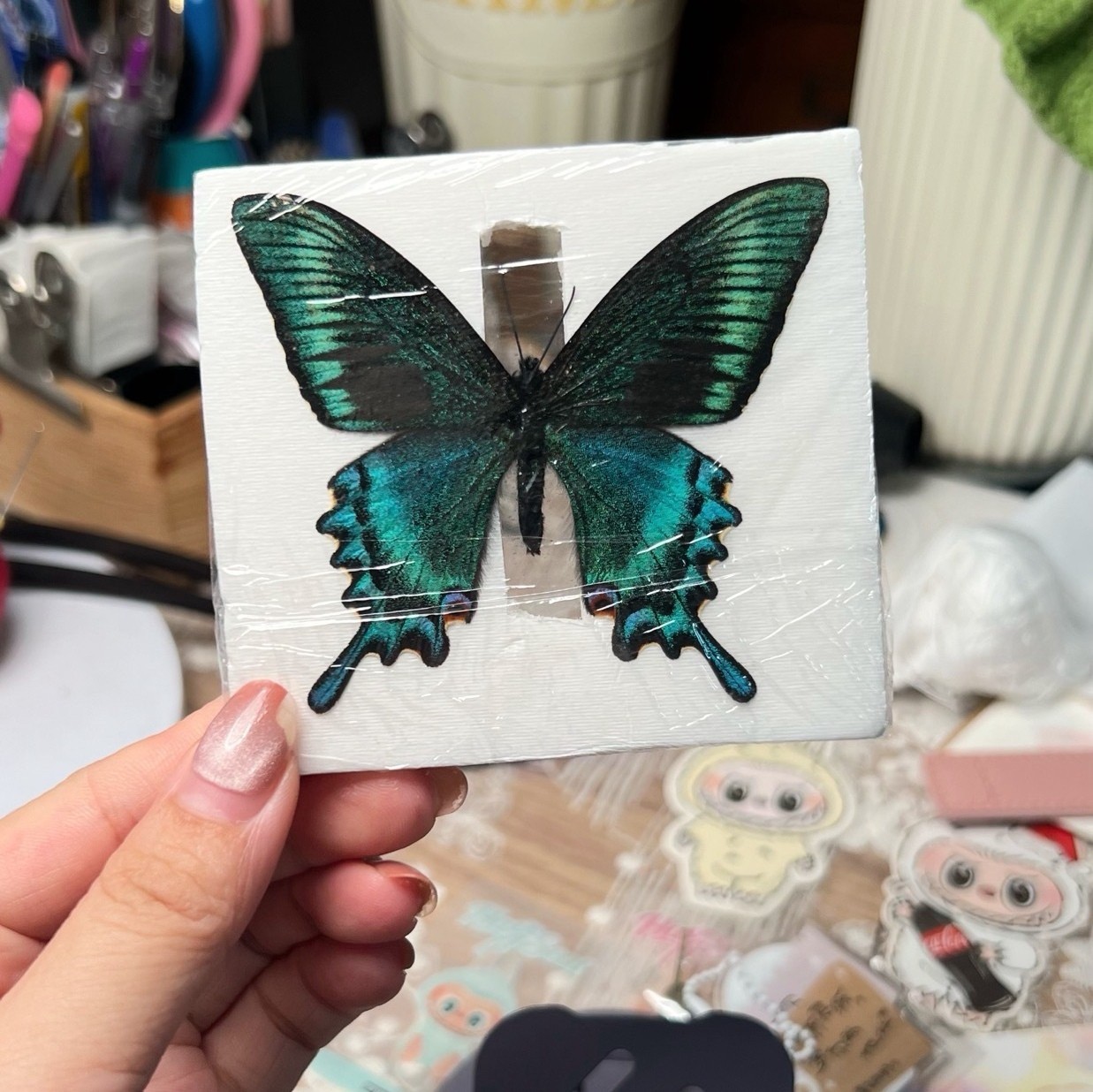 20 Pcs Spring Green Swallowtail Butterflies 5-7cm A1-A- Grade DIY Decor Gift 20 Pcs Spring Green Swallowtail Butterflies 5-7cm A1-A- Grade DIY Decor Gift