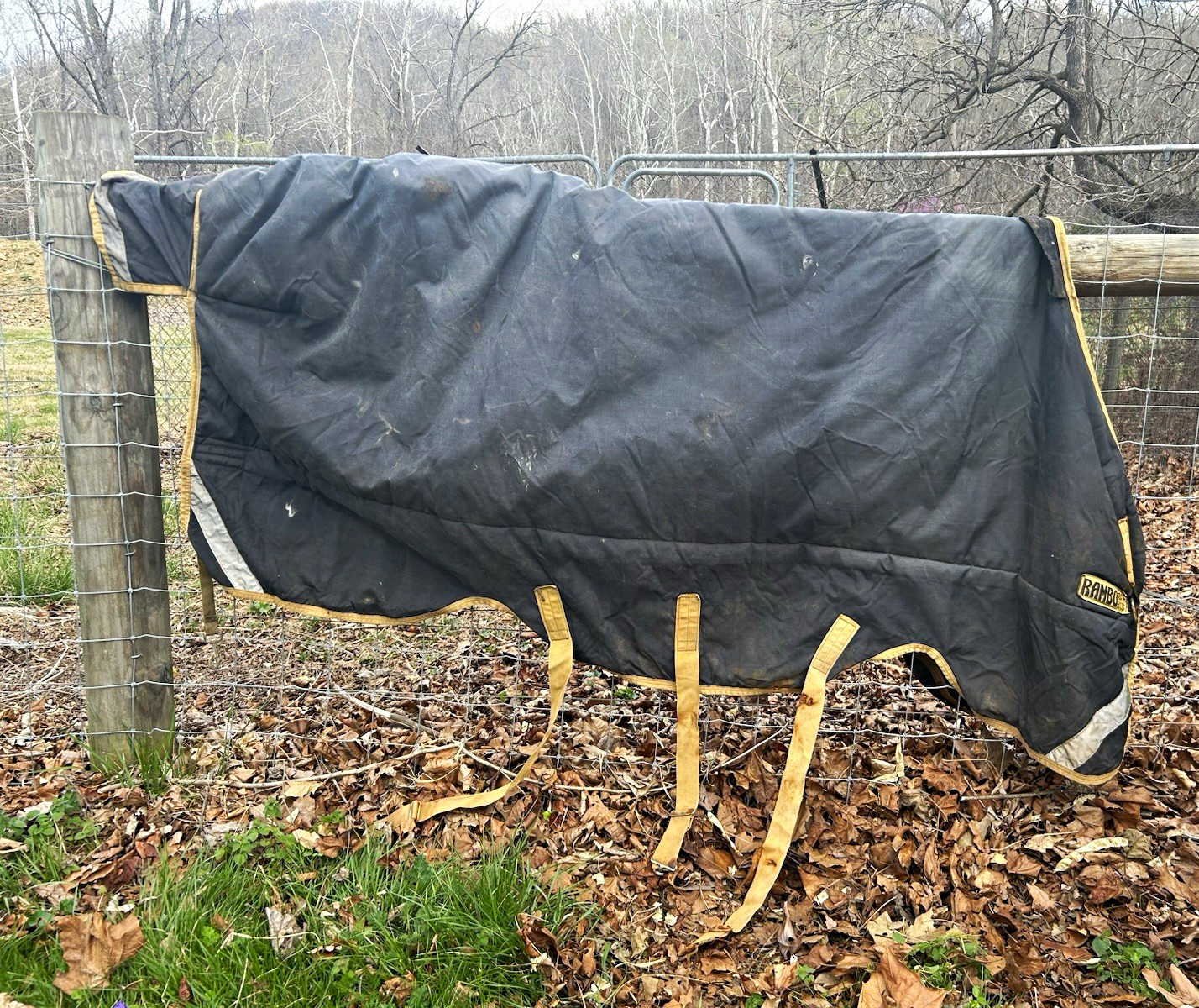 Rambo Horseware Ireland Heavyweight Turnout Blanket Black/Yellow Trim Size 84