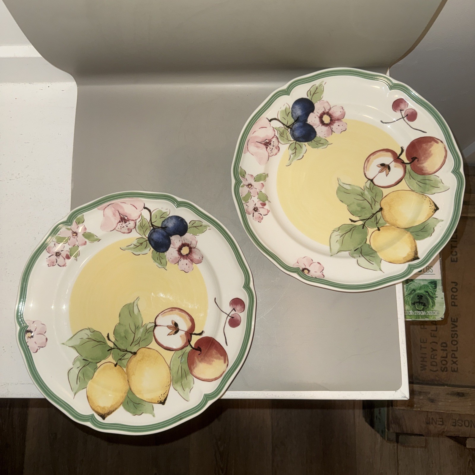 2 Villeroy & Boch French Garden 1748 Menton Fleurence Accent Dinner Plates NEW 2 Villeroy & Boch French Garden 1748 Menton Fleurence Accent Dinner Plates NEW