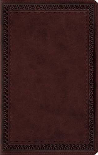 ESV Large Print Value Thinline Bible: New