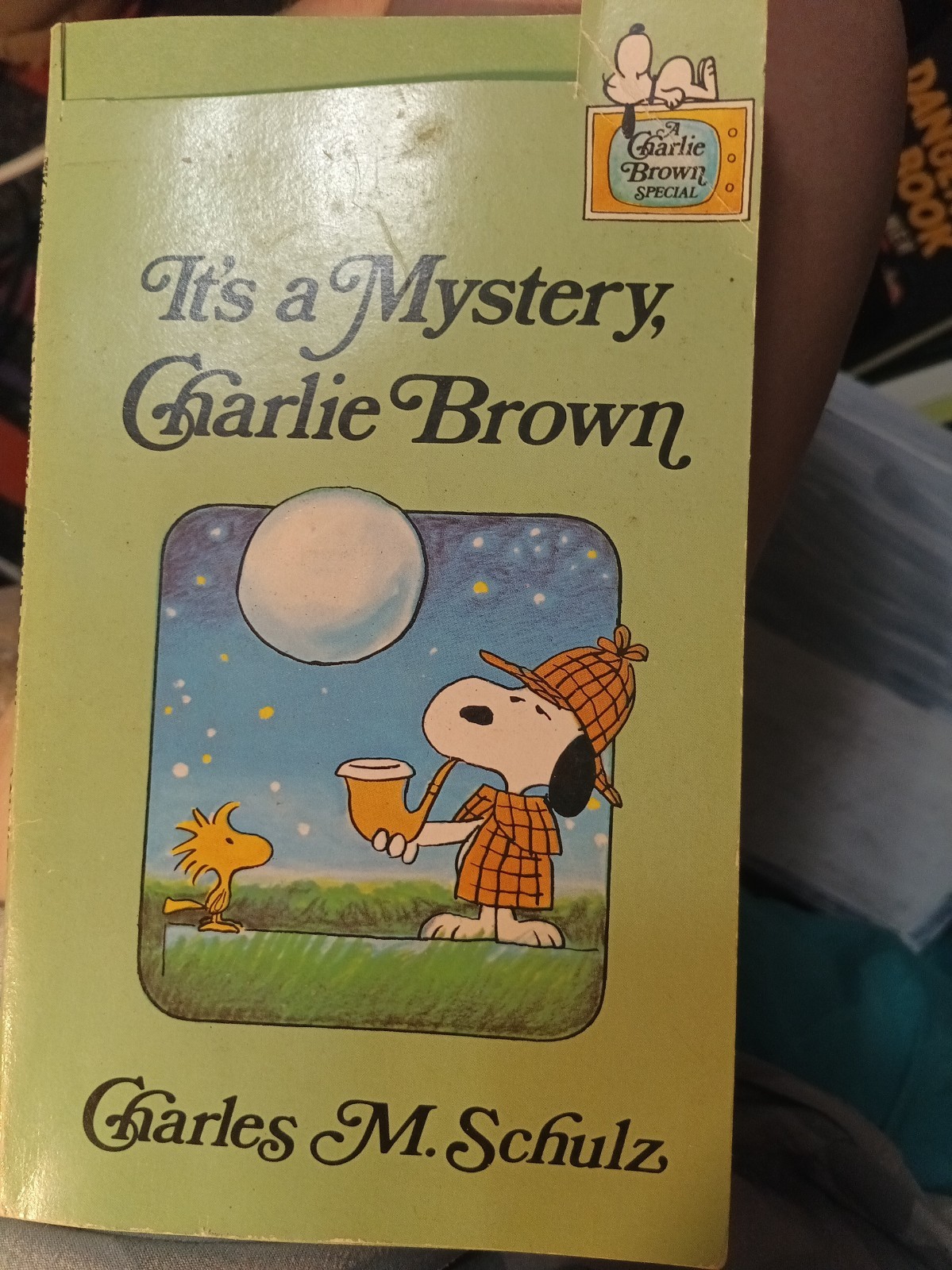 It’s Mystery,Charlie Brown Peanuts Paperback Book Vintage-1975 Sesame Str 70s It’s Mystery,Charlie Brown Peanuts Paperback Book Vintage-1975 Sesame Str 70s