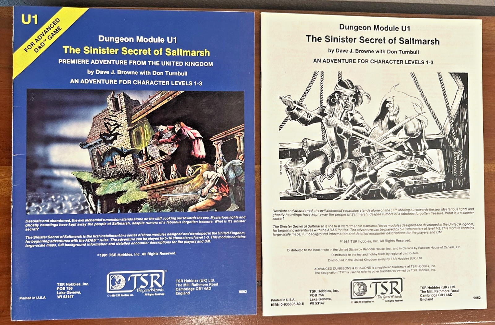 AD&D Dungeon Module U1 The Sinister Secret of Saltmarsh TSR 9062