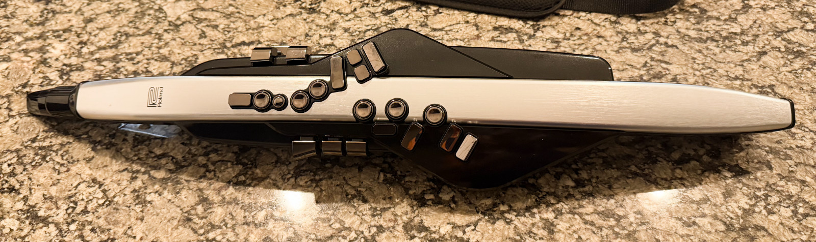 Roland Aerophone Pro AE-30 Roland Aerophone Pro AE-30