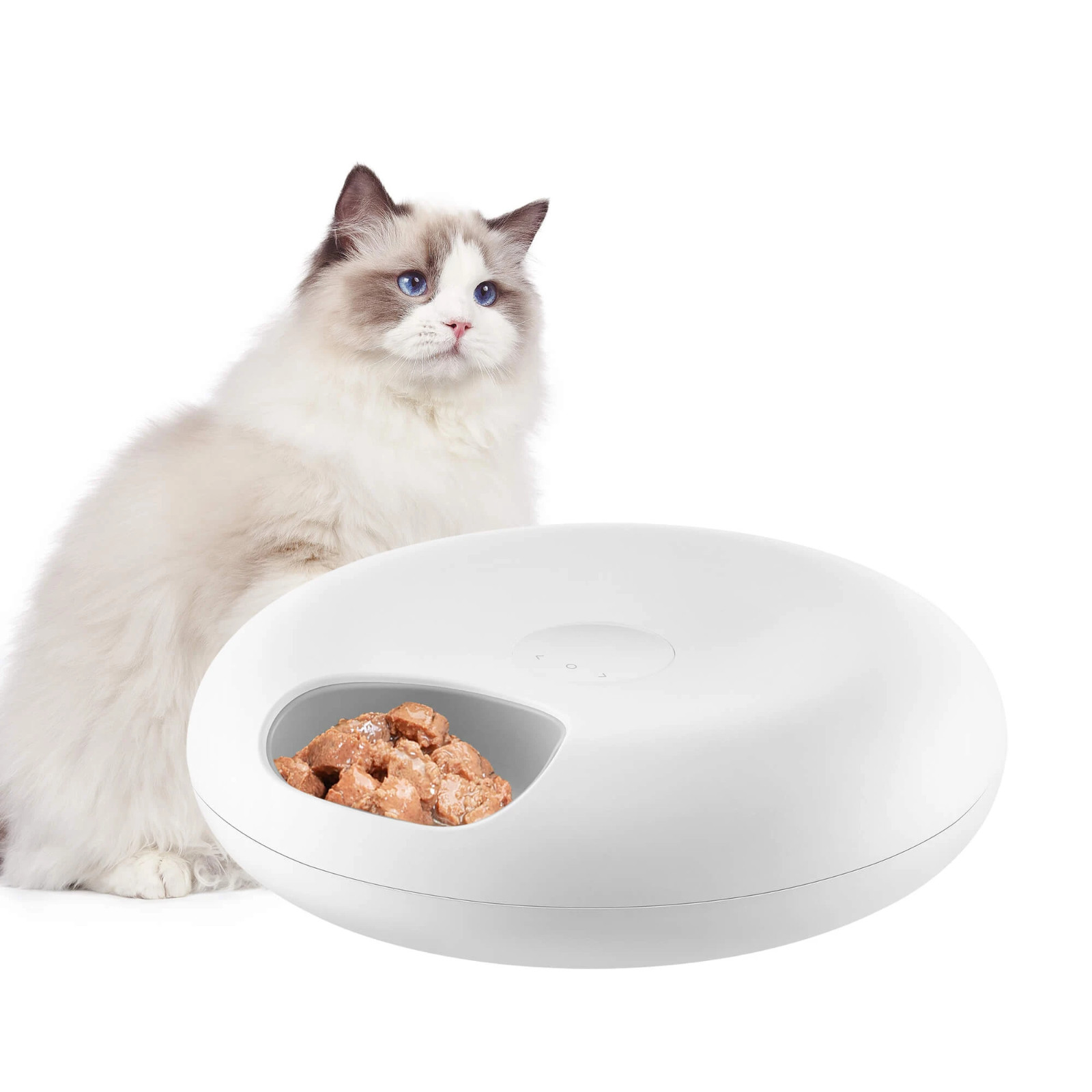Automatic Pet Feeder For Cats and Dogs - Dry or Wet Food Dispenser Automatic Pet Feeder For Cats and Dogs - Dry or Wet Food Dispenser
