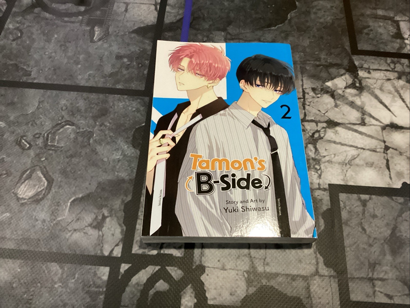 Tamon’S B-Side #2 (Viz 2024) Tamon’S B-Side #2 (Viz 2024)