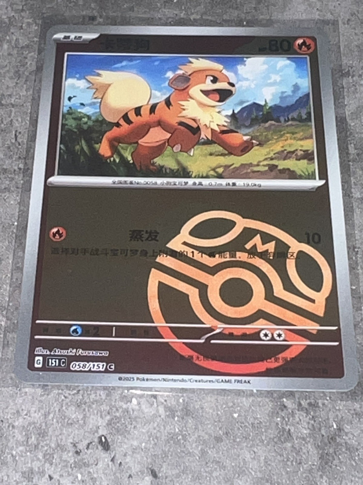 Pokemon TCG S-Chinese 151C Growlithe 058/151 Master Ball Holo Mint Card Pokemon TCG S-Chinese 151C Growlithe 058/151 Master Ball Holo Mint Card