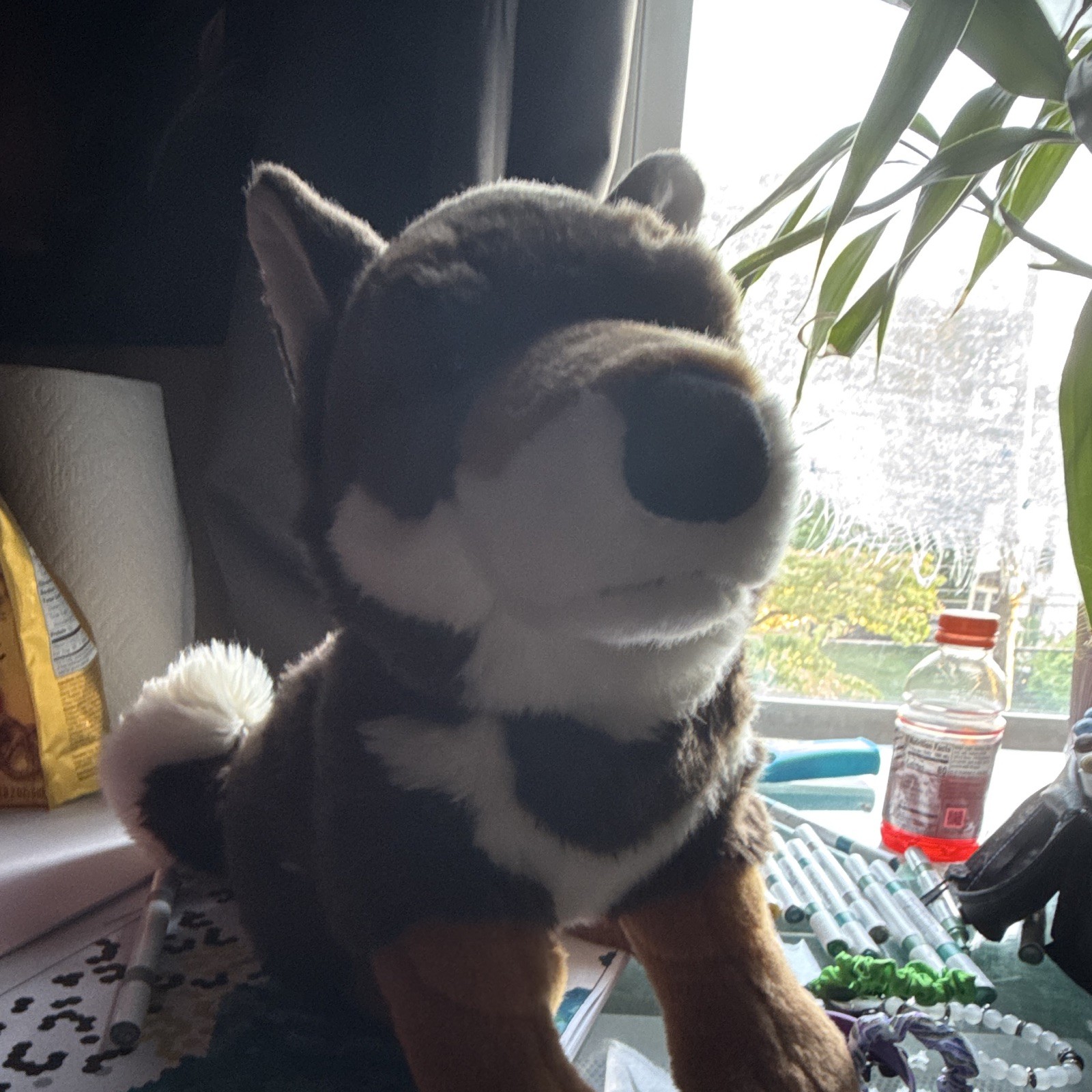 Haku the Shikoku Ken Dog Plush by Prime Shiba. HTF NWOT Batch 008 Small Batch Haku the Shikoku Ken Dog Plush by Prime Shiba. HTF NWOT Batch 008 Small Batch
