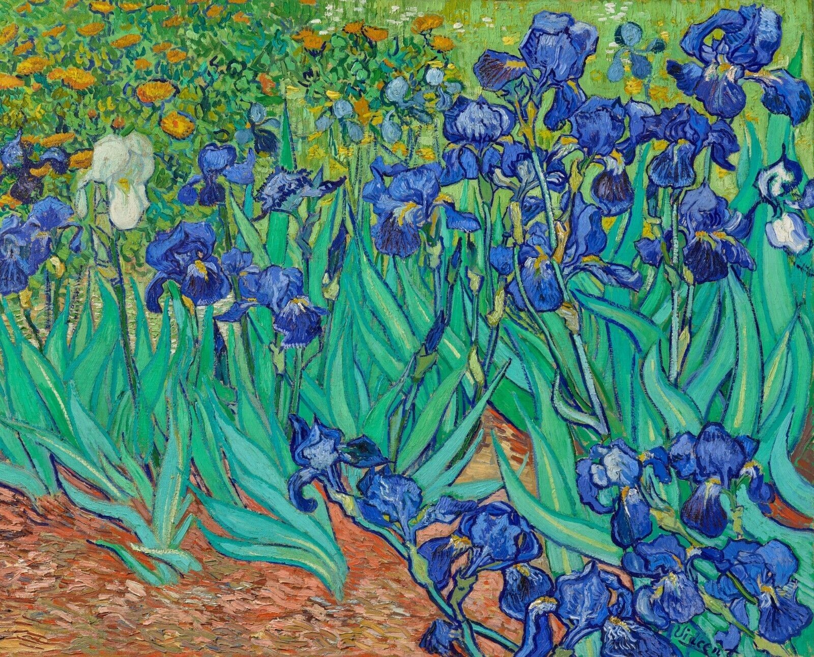 1889 Irises by Vincent Van Gogh 11