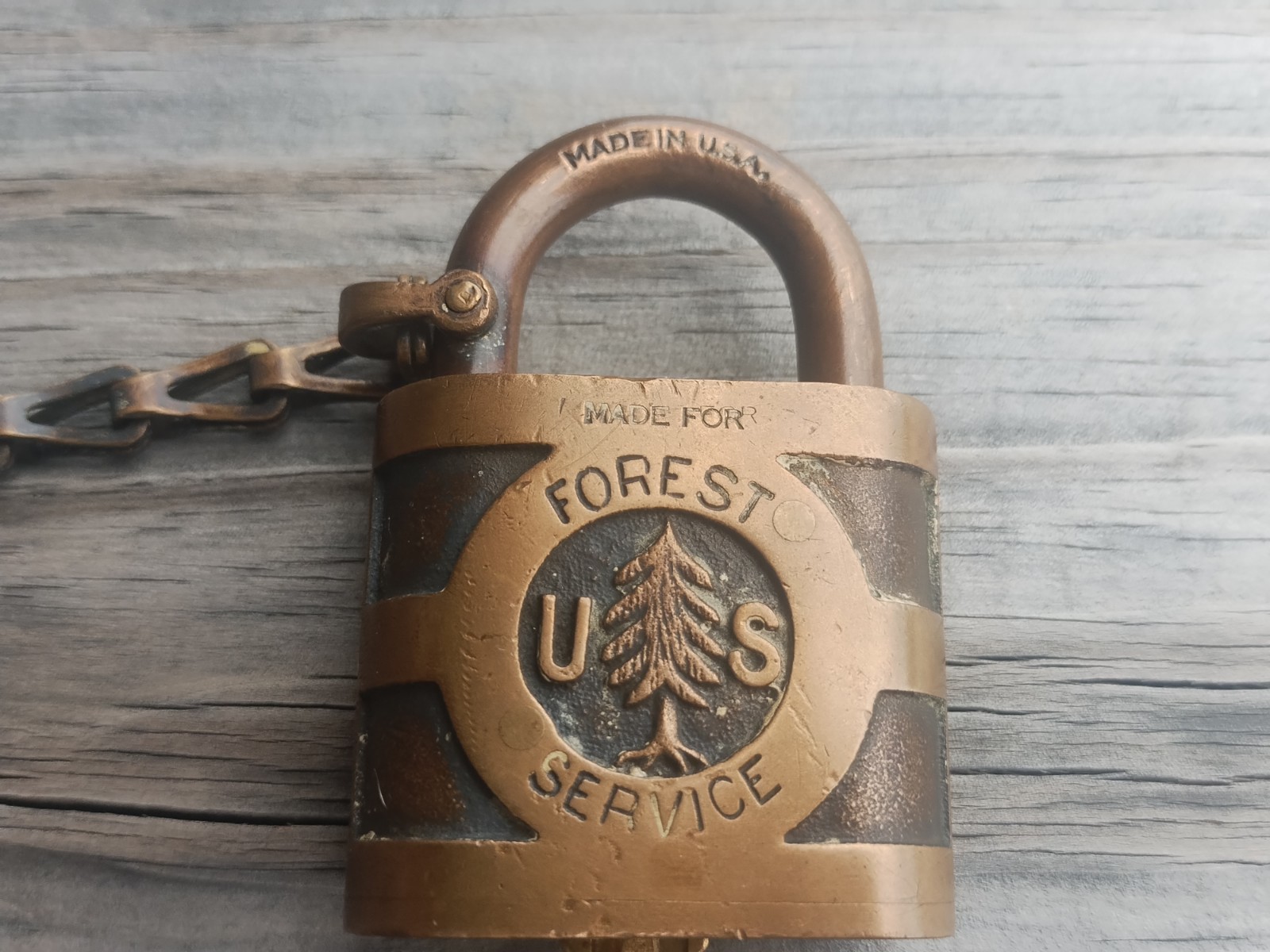 Vintage US Forest Service Yale Pine Tree Brass Lock with Key. Works Good Vintage US Forest Service Yale Pine Tree Brass Lock with Key. Works Good