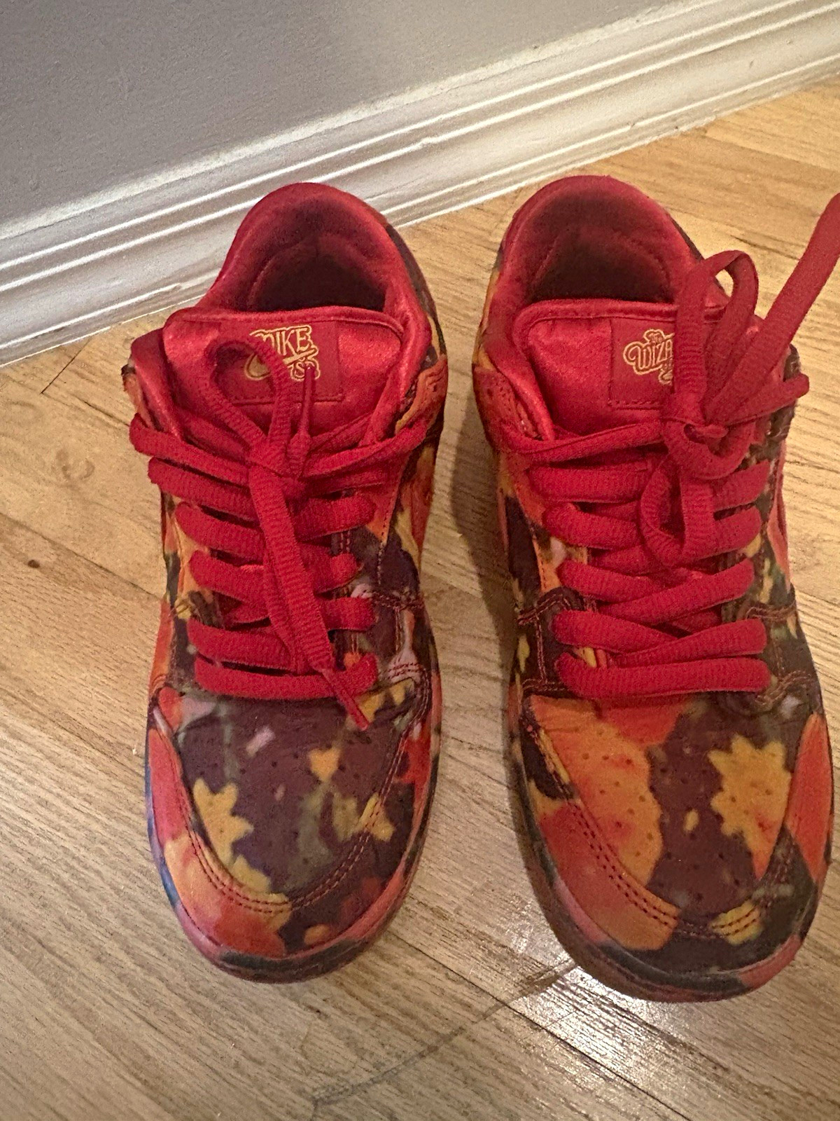 Nike Wizard of Oz special edition Low Top Lace-Up Athletic Sneakers Rubber