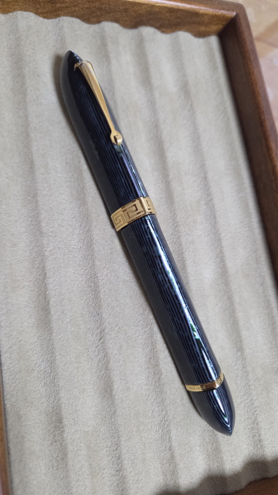 ASC Triangolo Arco Verde Celluloid No.8Nib - 14K Magic Flex Nib (Omas Celluloid)