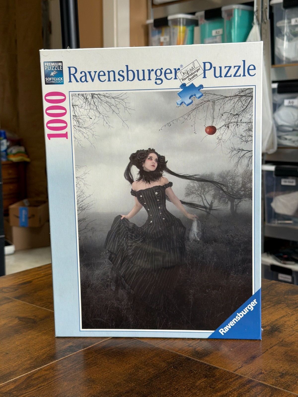 2008 Ravensburger \