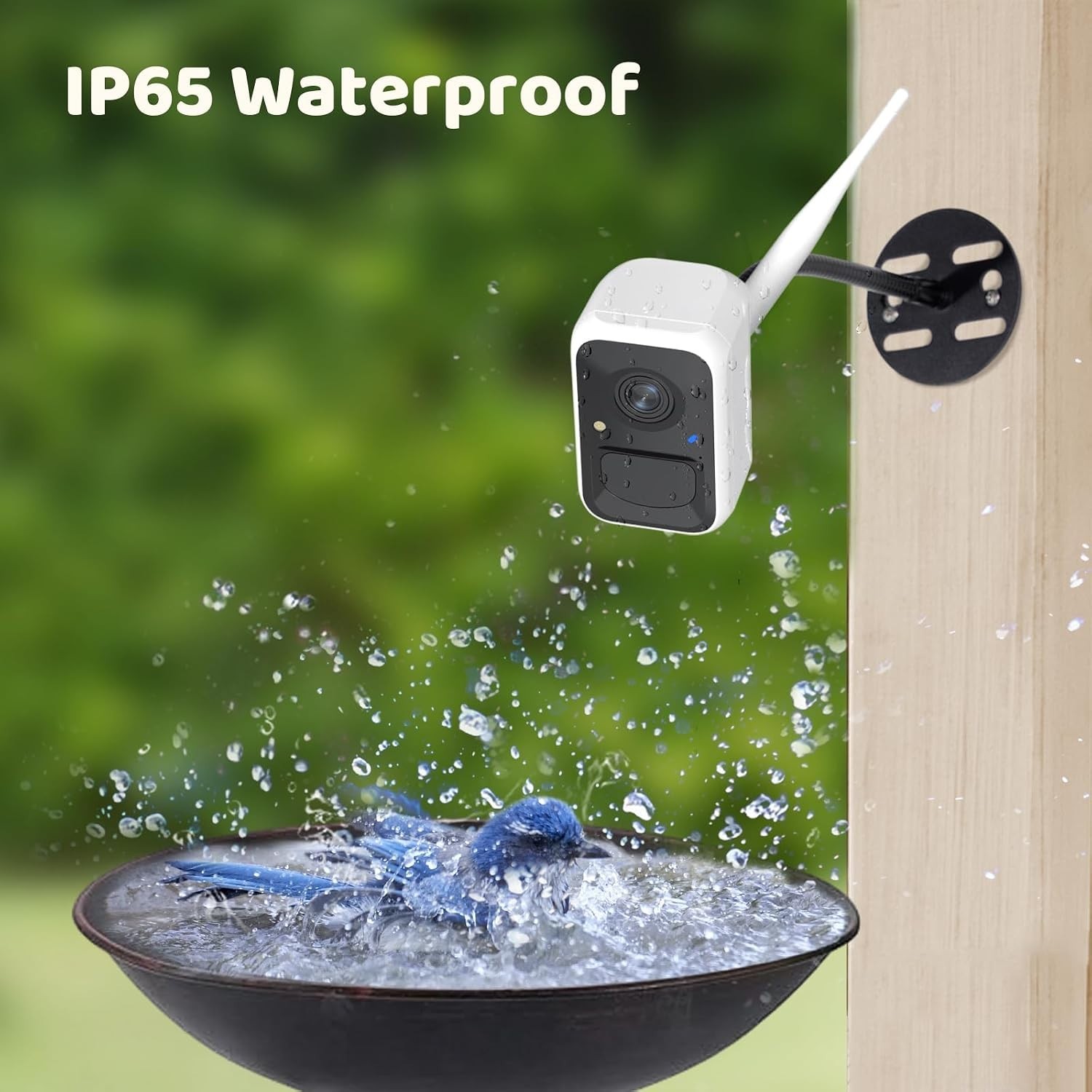 Waterproof WIFI Netvue By Birdfy FHD Camera For Birdwatching Waterproof WIFI Netvue By Birdfy FHD Camera For Birdwatching